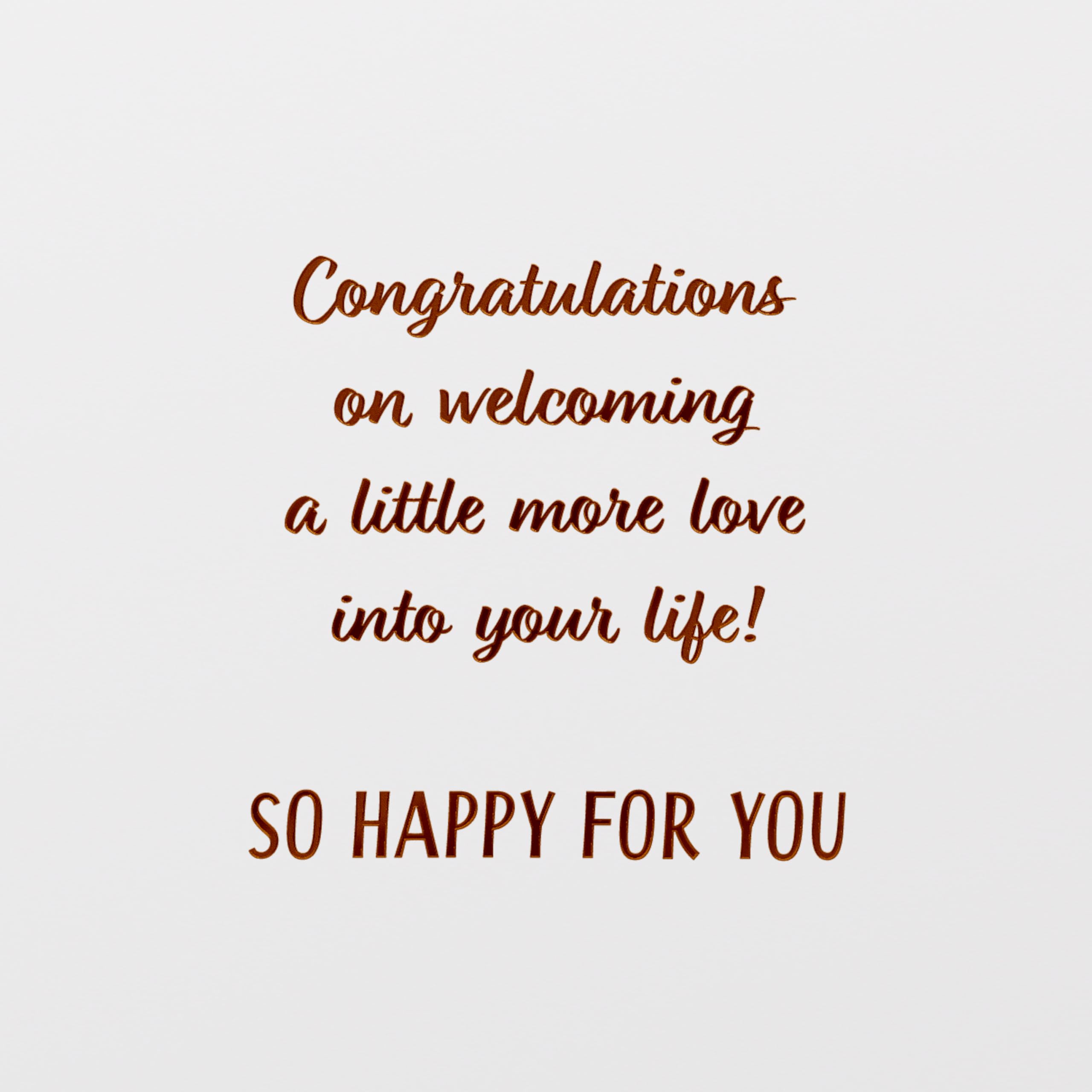American Greetings Baby Adoption Card (Little More Love) - Image 3