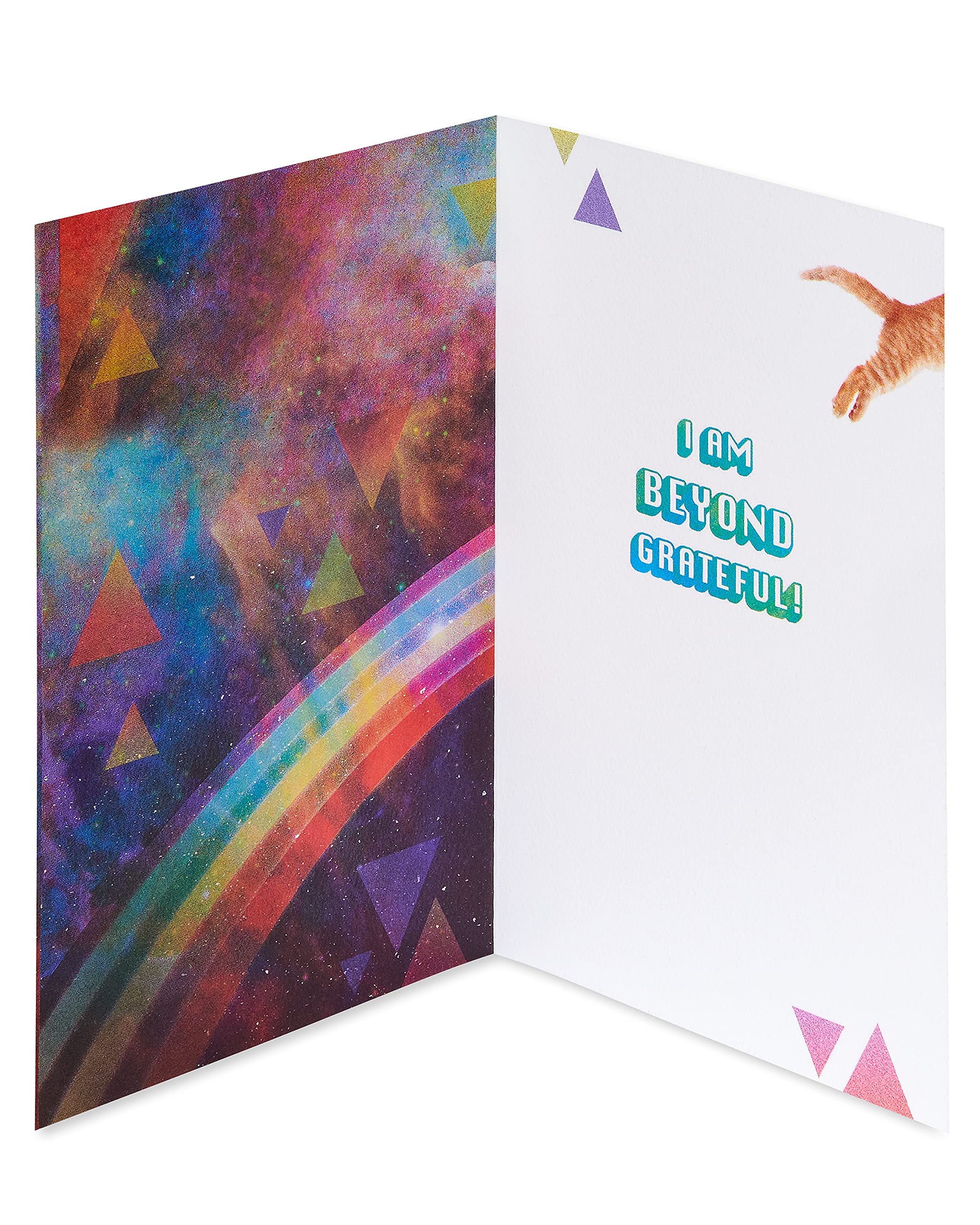American Greetings Cat Thank You Card (Beyond Grateful) - Image 2