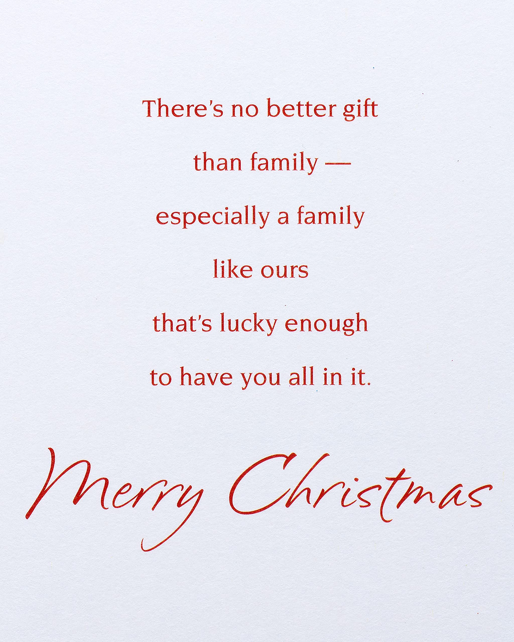American Greetings Christmas Card for Brother and Family (Family Like Ours) - Image 3