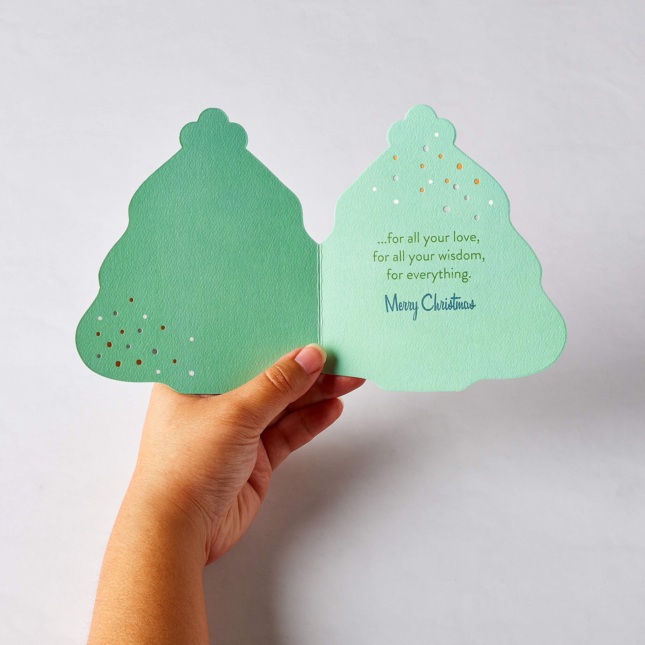 American Greetings Christmas Card for Dad (All Your Love) - Image 2