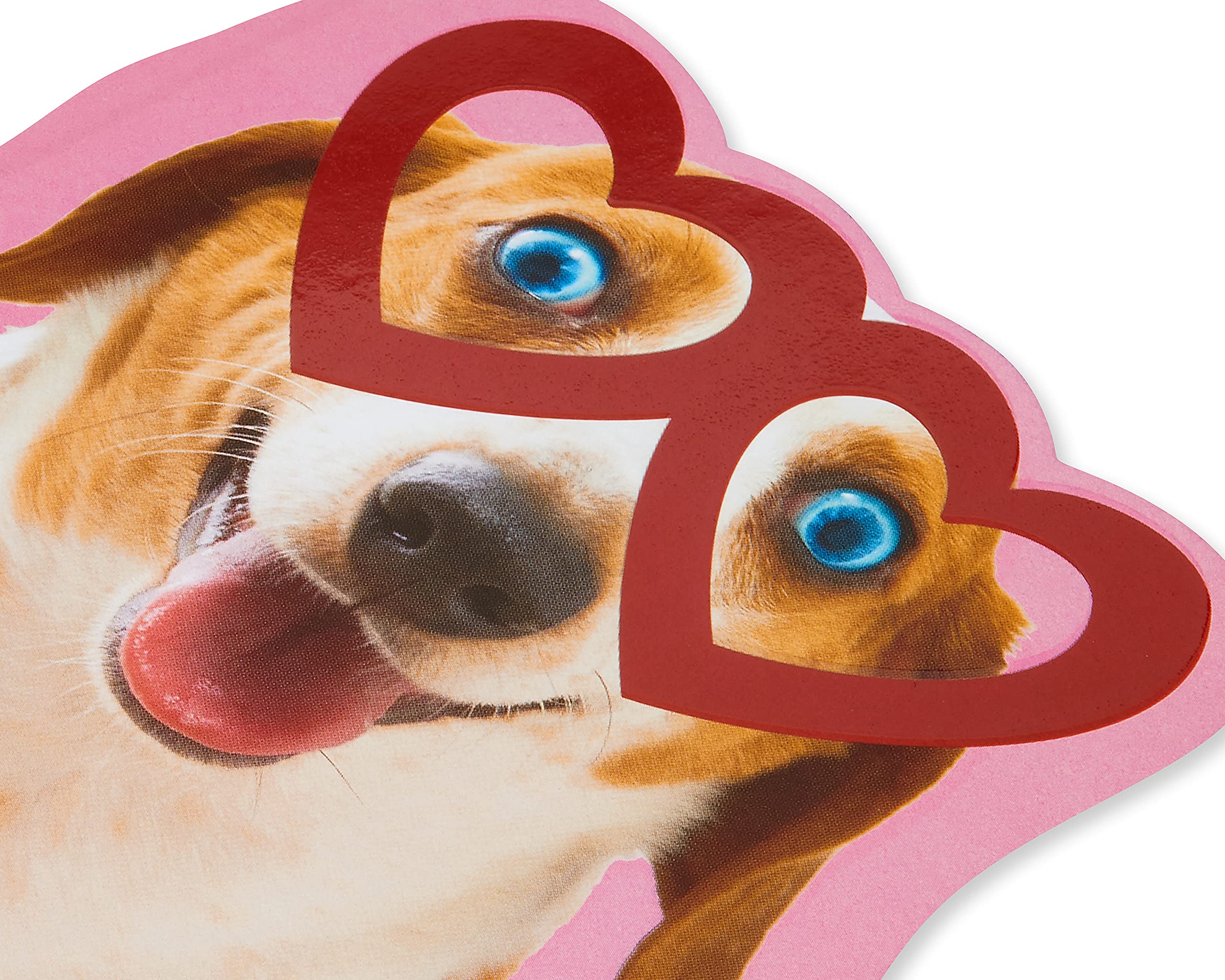 American Greetings Dog Valentines Day Card (So Much Alike) - Image 4