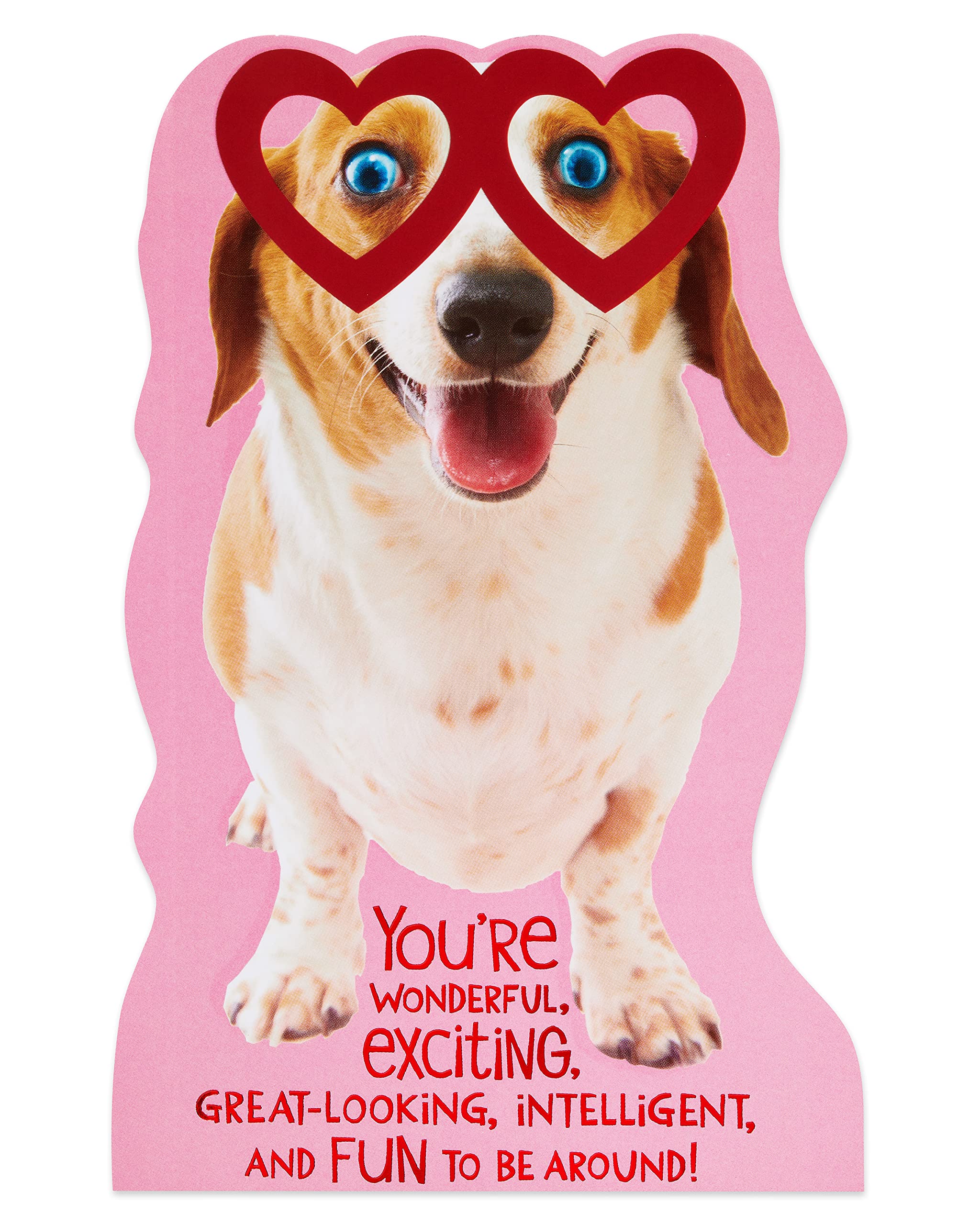 American Greetings Dog Valentines Day Card (So Much Alike) - Image 5