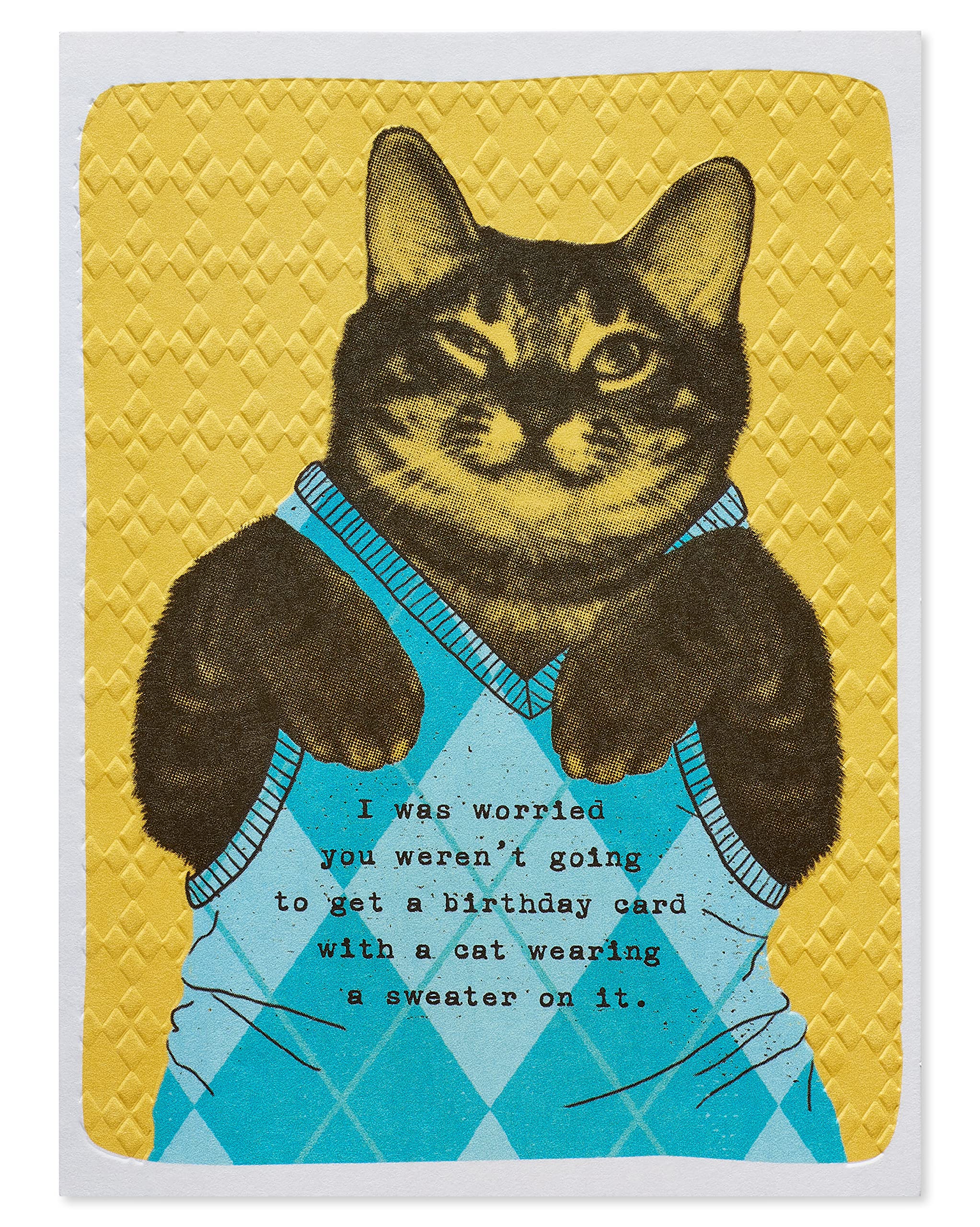 American Greetings Funny Birthday Card (Cat Wearing Argyle Sweater) - Image 4
