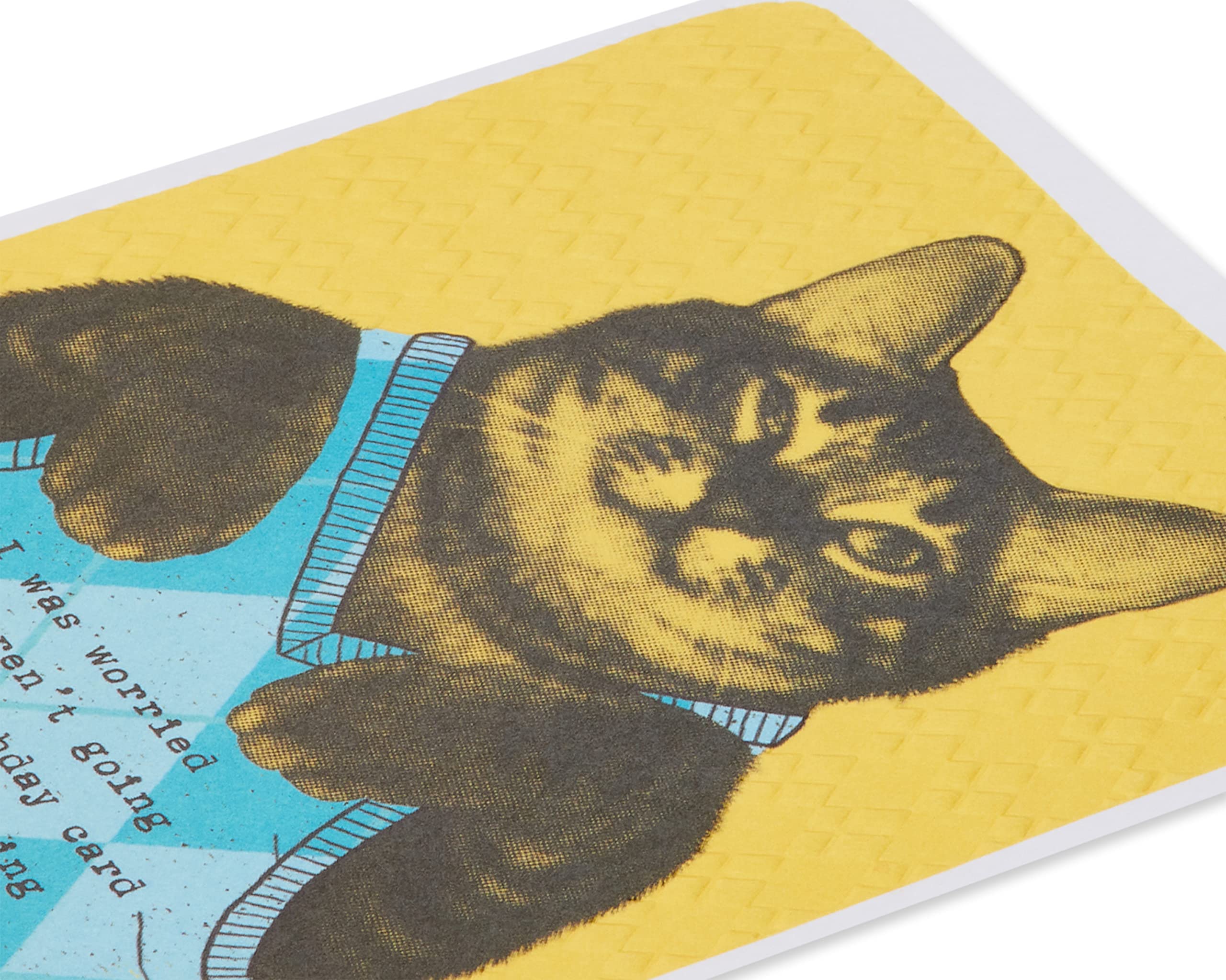 American Greetings Funny Birthday Card (Cat Wearing Argyle Sweater) - Image 5