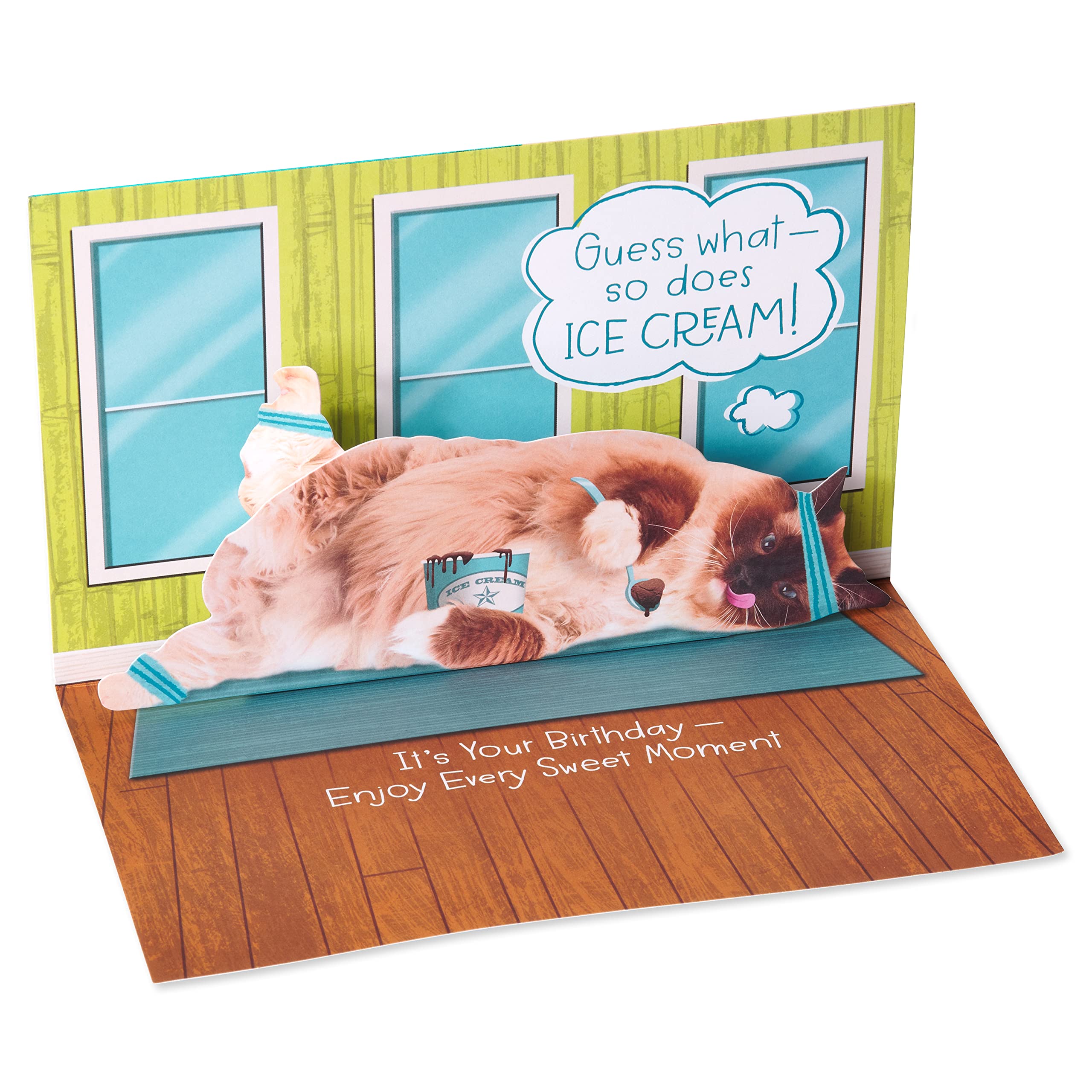 American Greetings Funny Birthday Card for Her (So Does Ice Cream) - Image 2