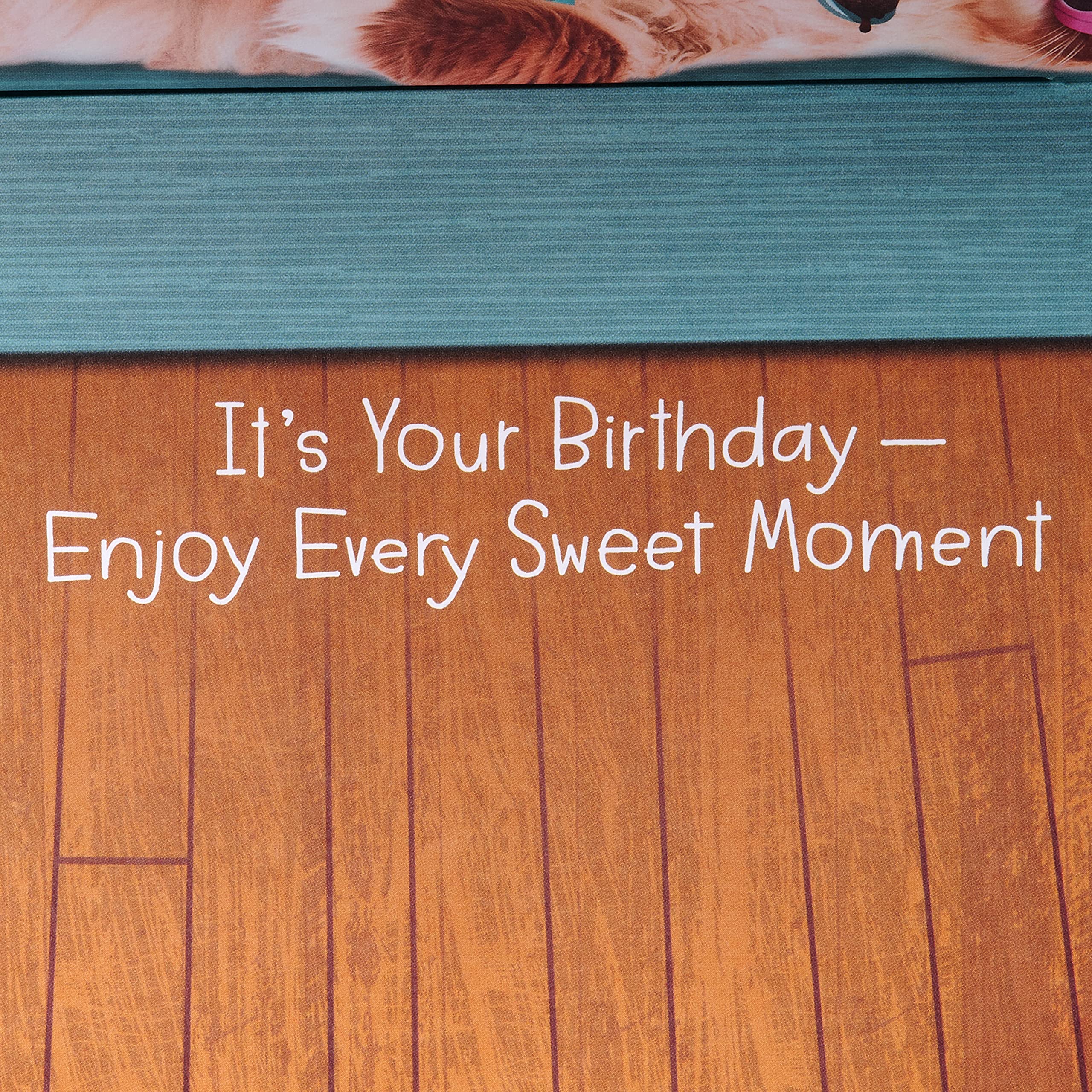 American Greetings Funny Birthday Card for Her (So Does Ice Cream) - Image 4