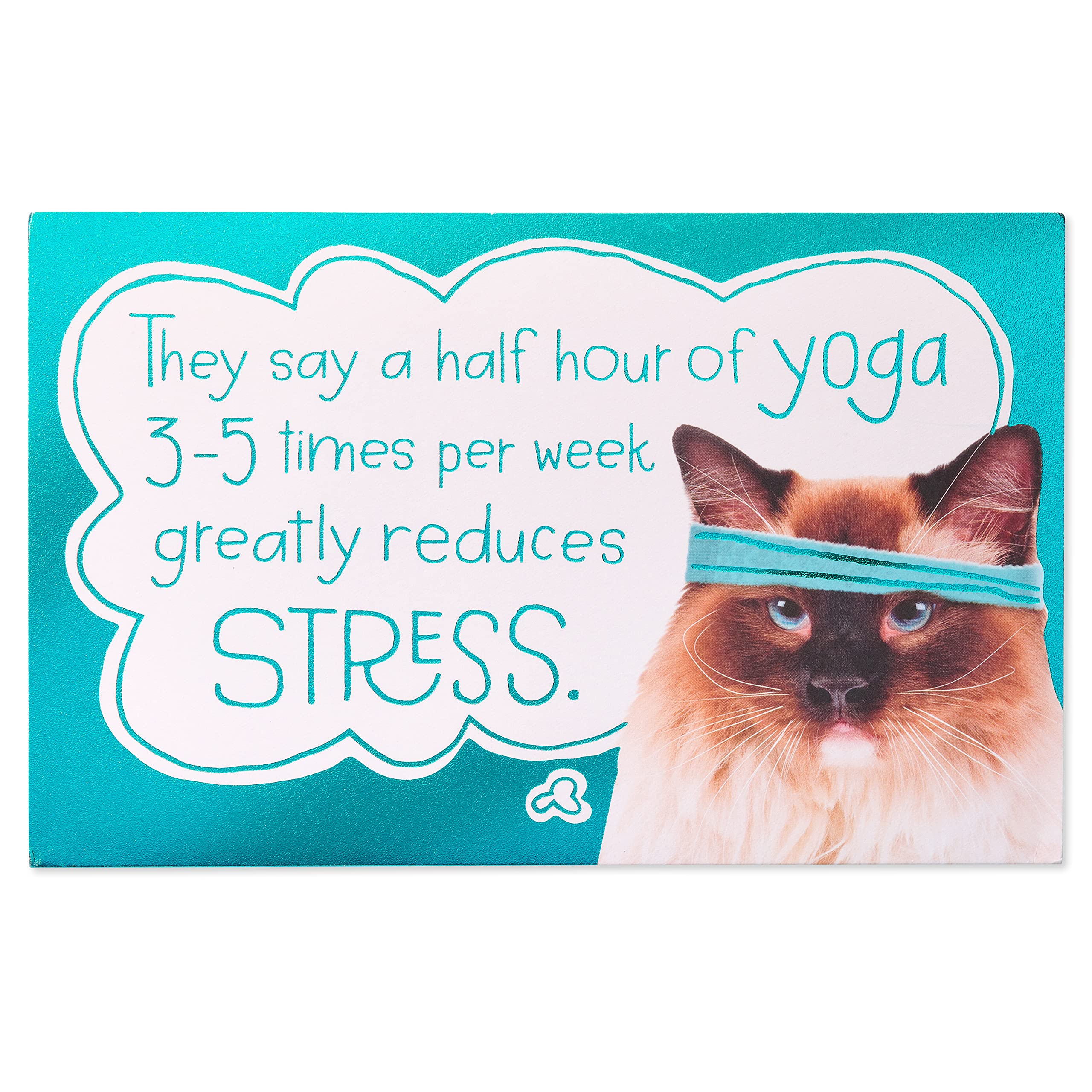 American Greetings Funny Birthday Card for Her (So Does Ice Cream) - Image 5