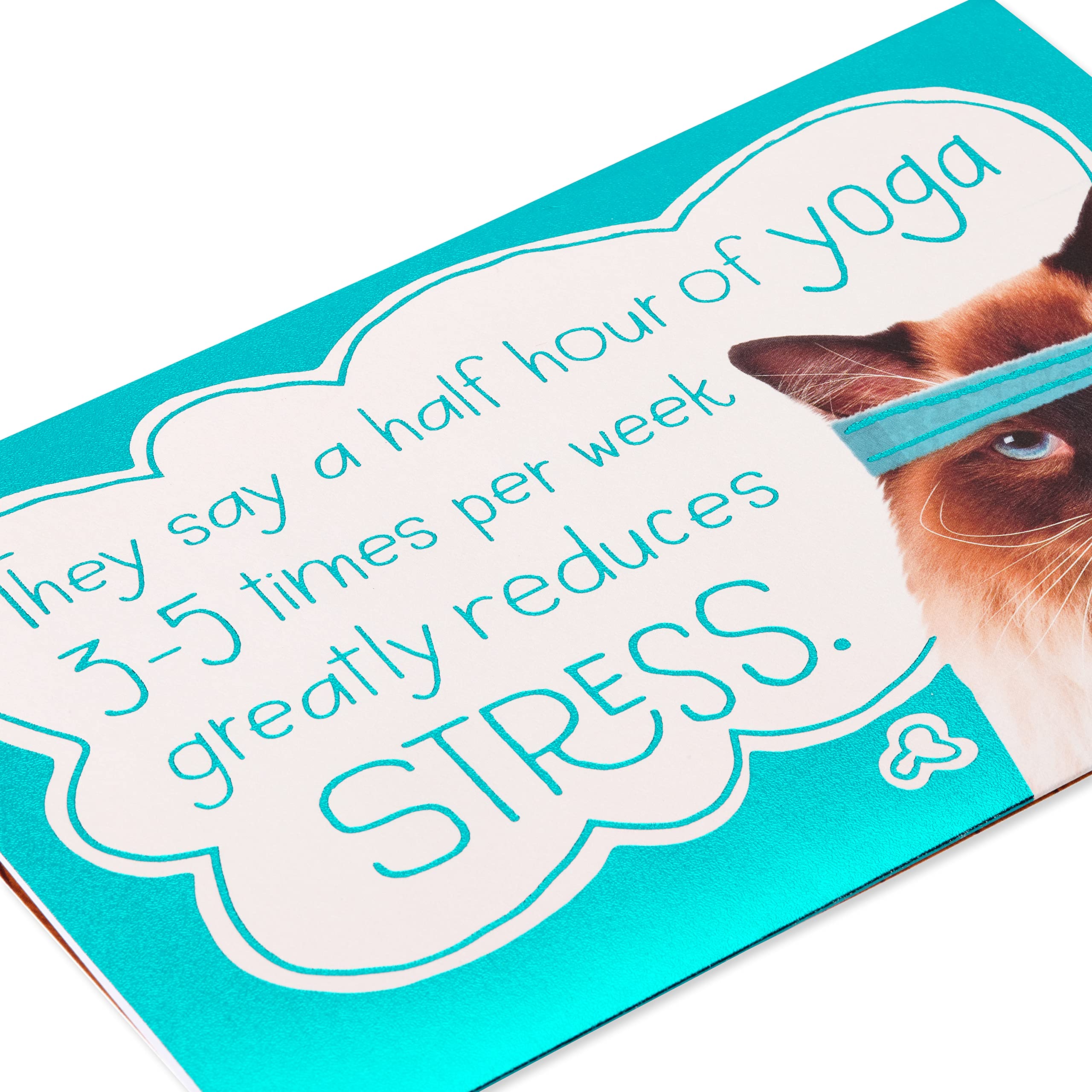 American Greetings Funny Birthday Card for Her (So Does Ice Cream) - Image 6