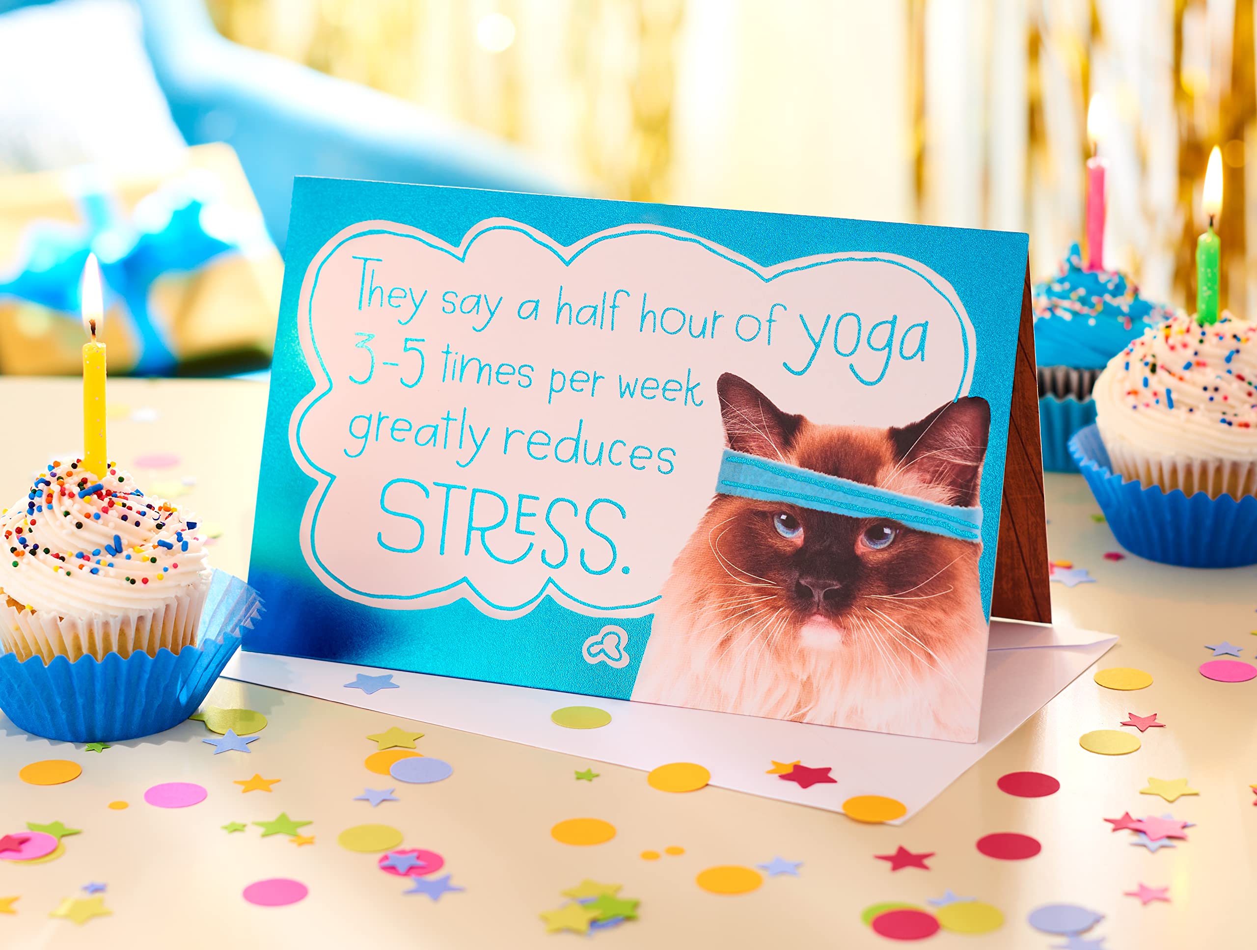 American Greetings Funny Birthday Card for Her (So Does Ice Cream) - Image 7