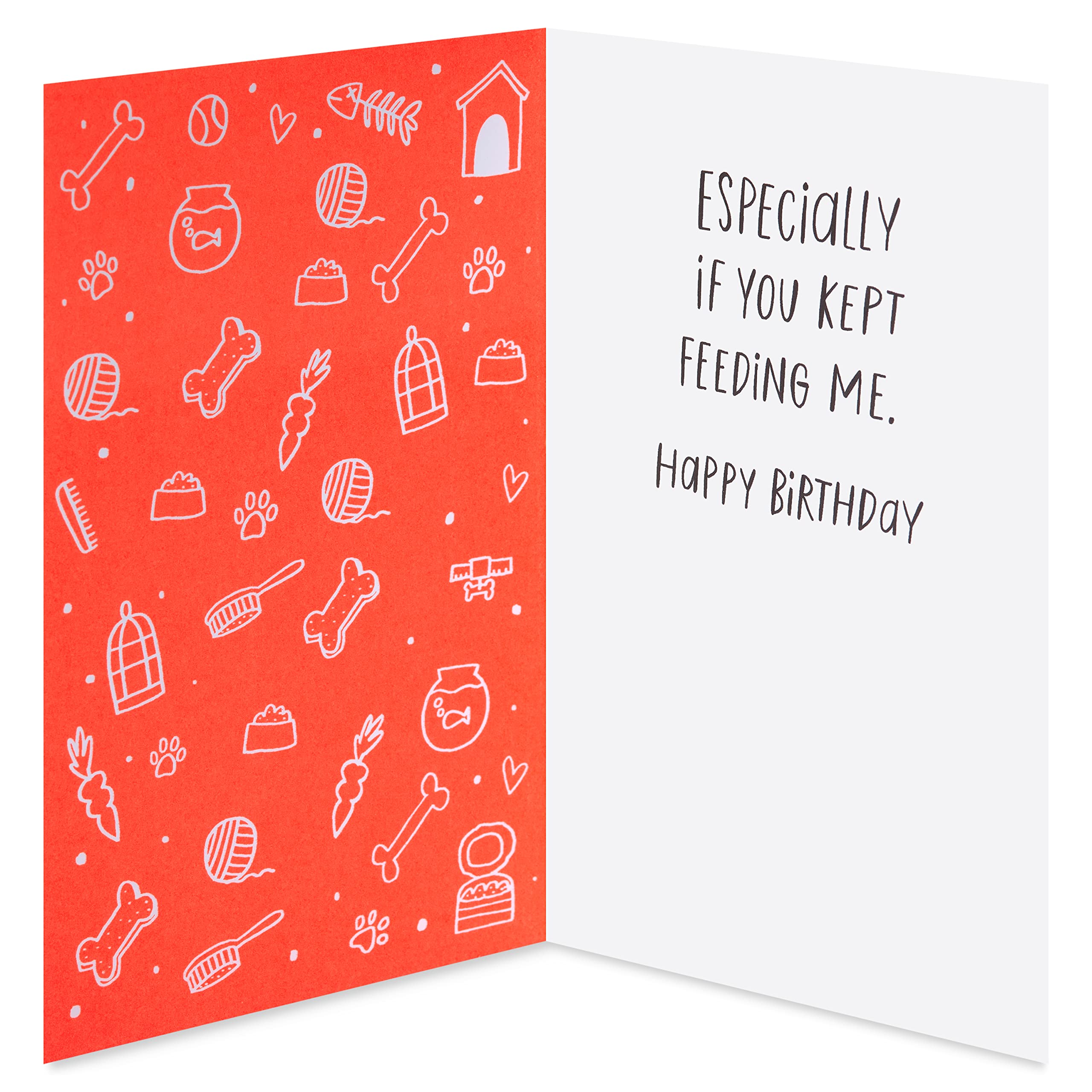 American Greetings Funny Birthday Card from Pet (We'd Still Be Good Friends) - Image 2