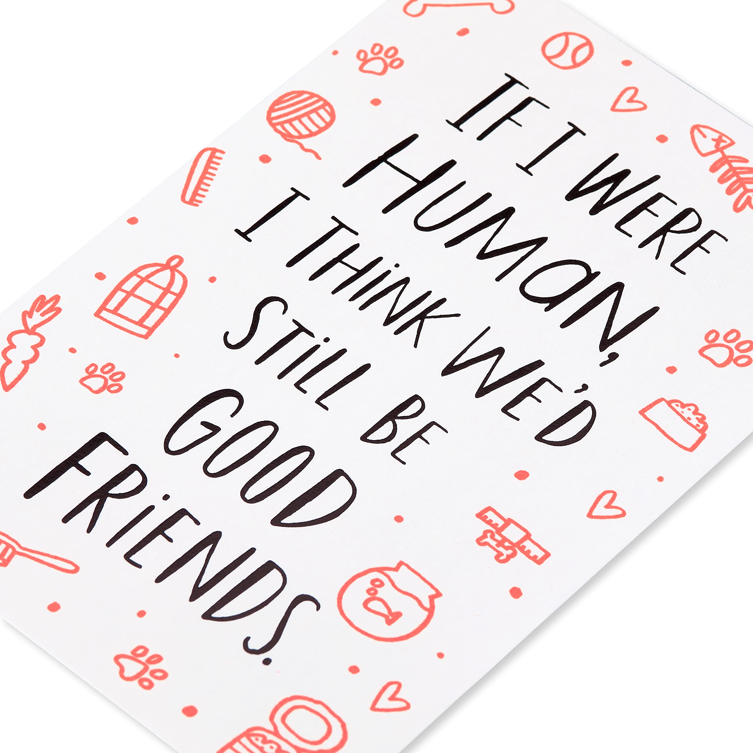 American Greetings Funny Birthday Card from Pet (We'd Still Be Good Friends) - Image 5