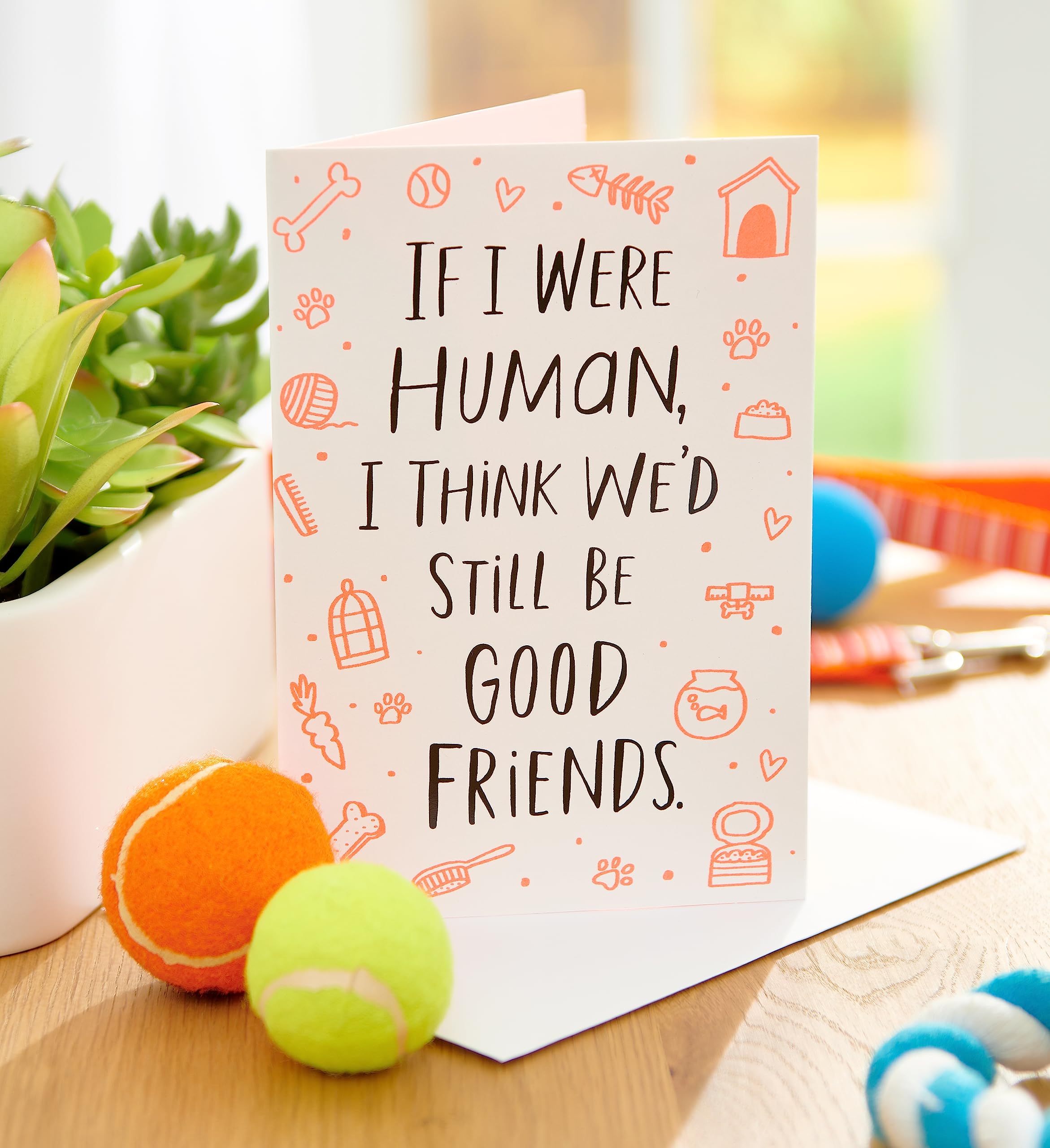 American Greetings Funny Birthday Card from Pet (We'd Still Be Good Friends) - Image 6