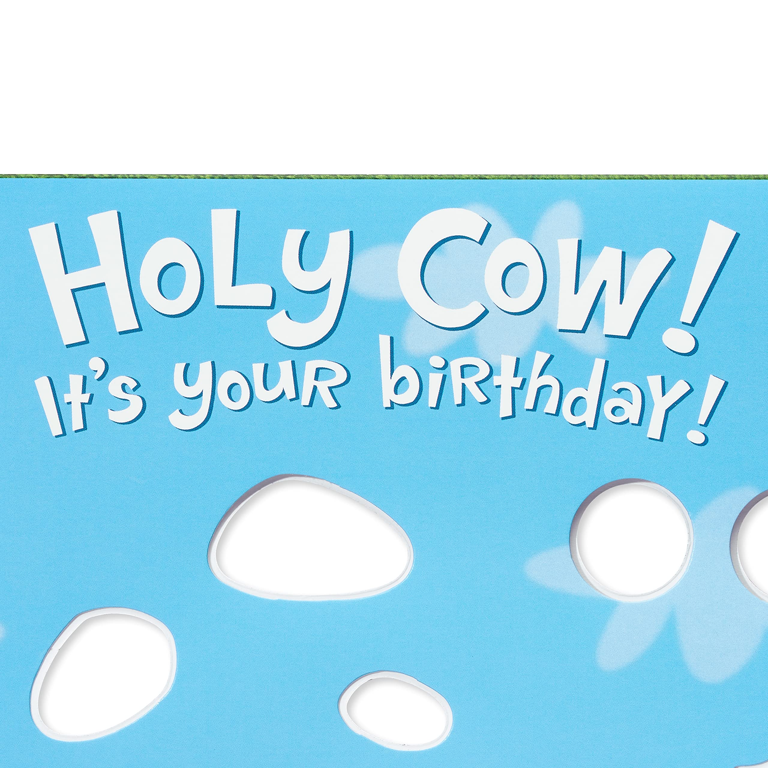 American Greetings Funny Birthday Card (Holy Cow) - Image 3