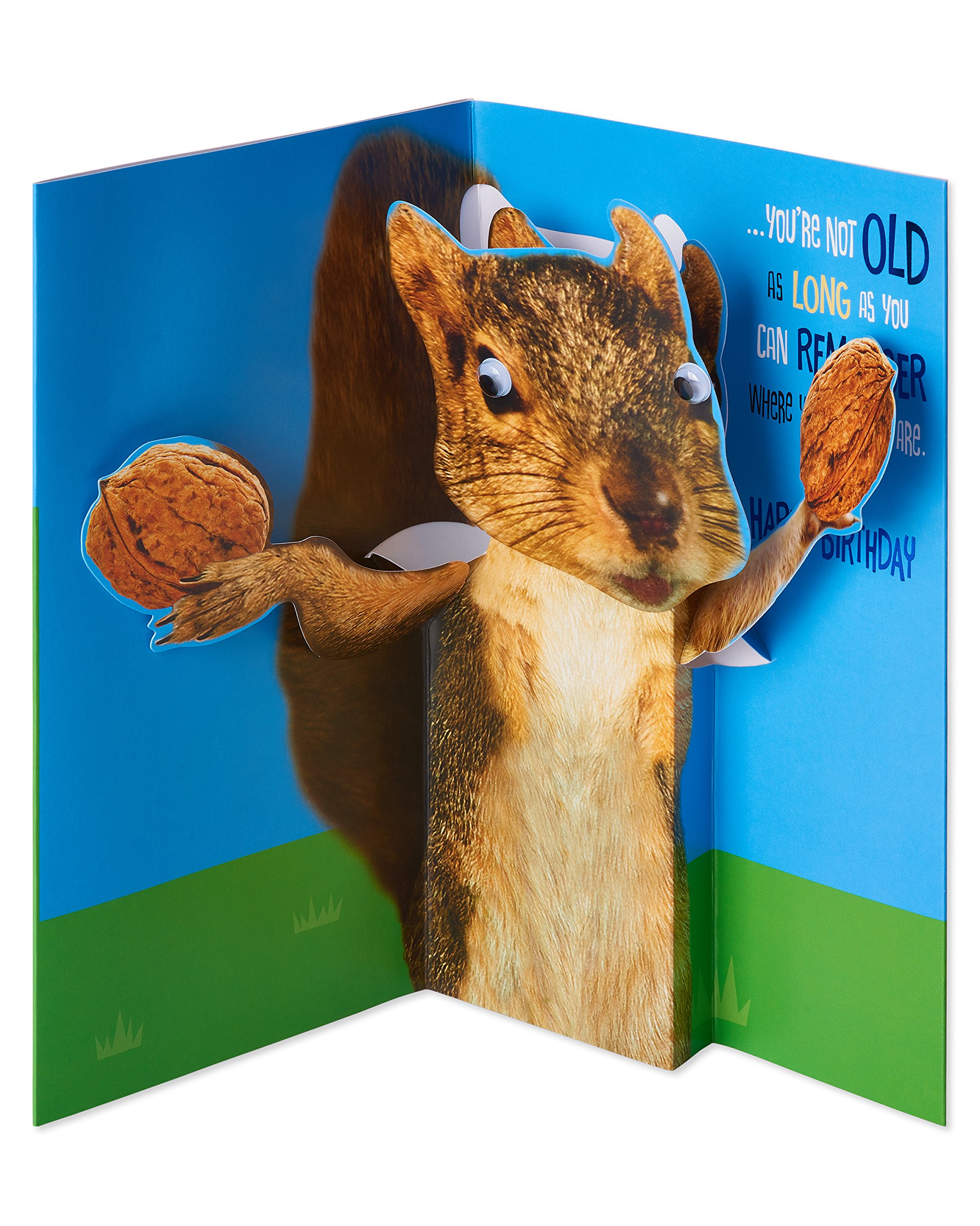 American Greetings Funny Birthday Card (Squirrel) - Image 2