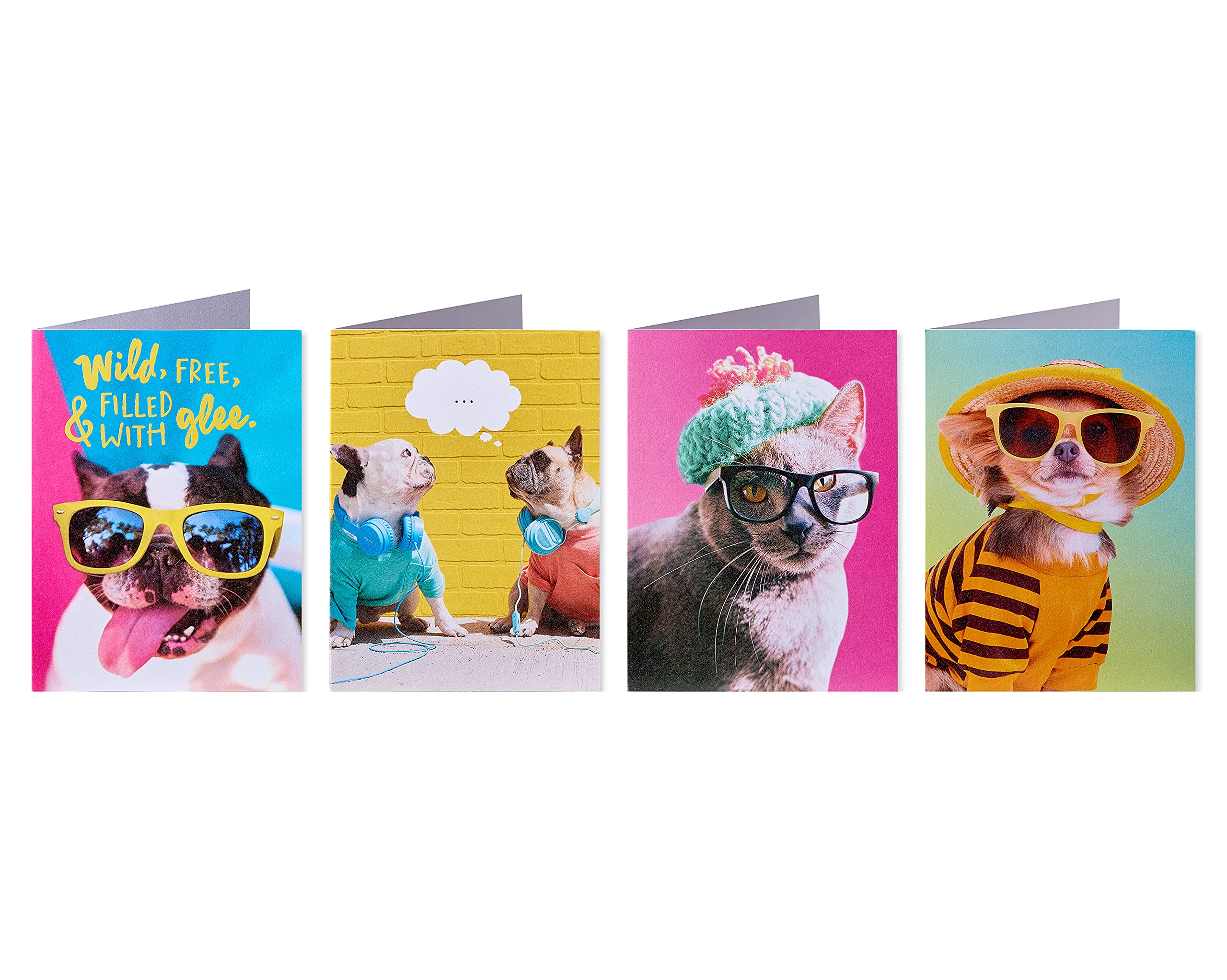 American Greetings Funny Blank Cards with Envelopes for All Occasions, Dogs & Cats (48-Count) - Image 3