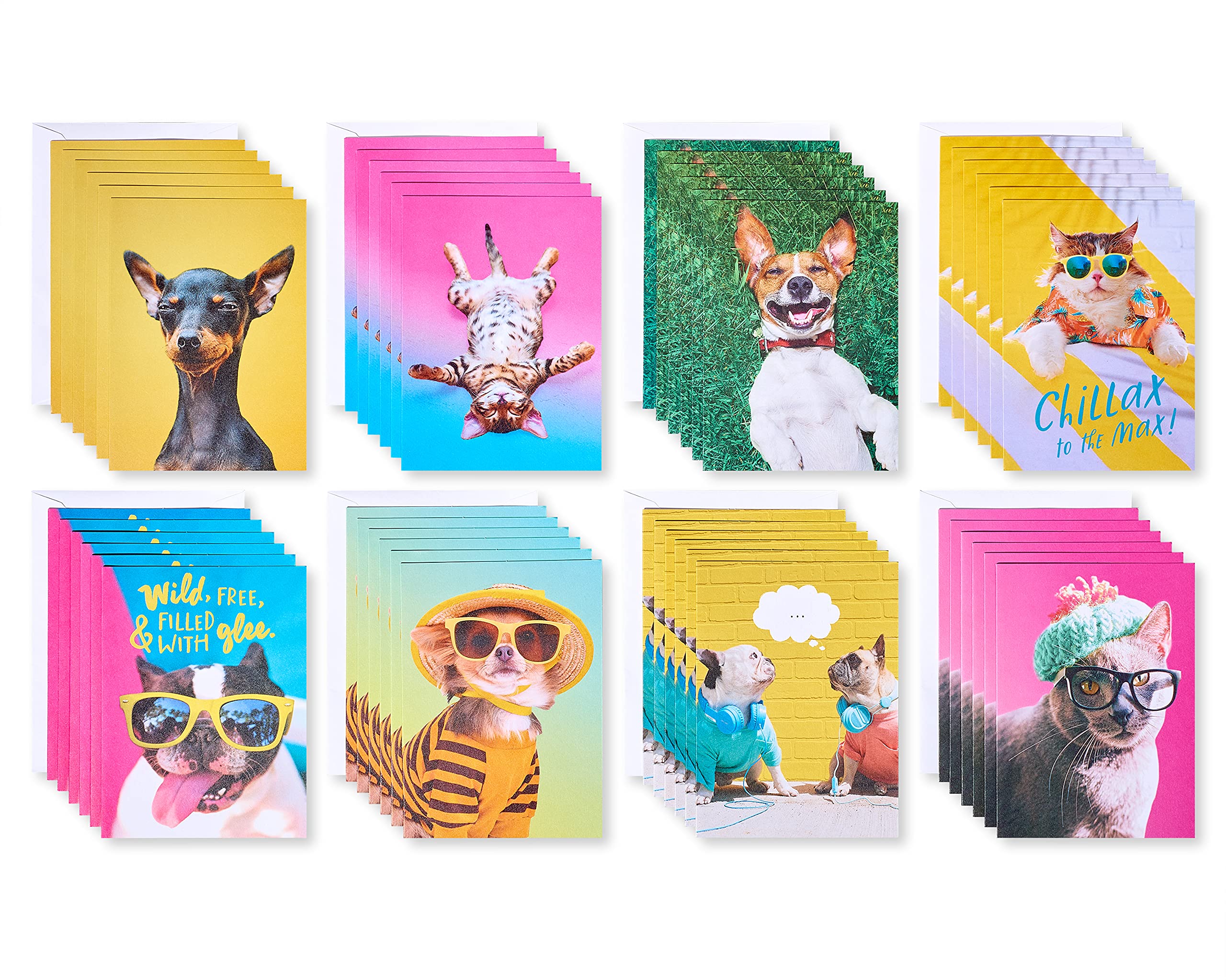 American Greetings Funny Blank Cards with Envelopes for All Occasions, Dogs & Cats (48-Count) - Image 5