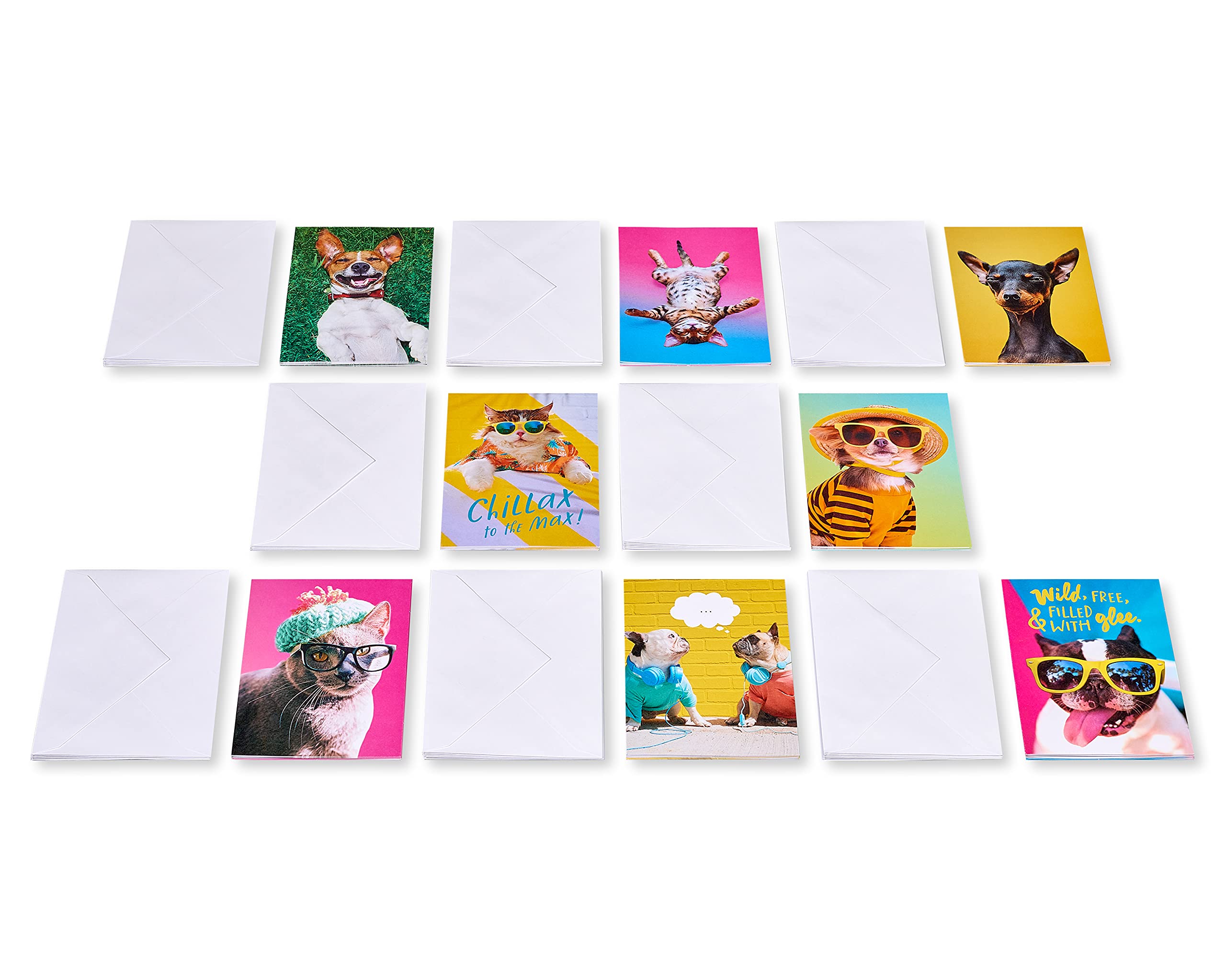 American Greetings Funny Blank Cards with Envelopes for All Occasions, Dogs & Cats (48-Count) - Image 6