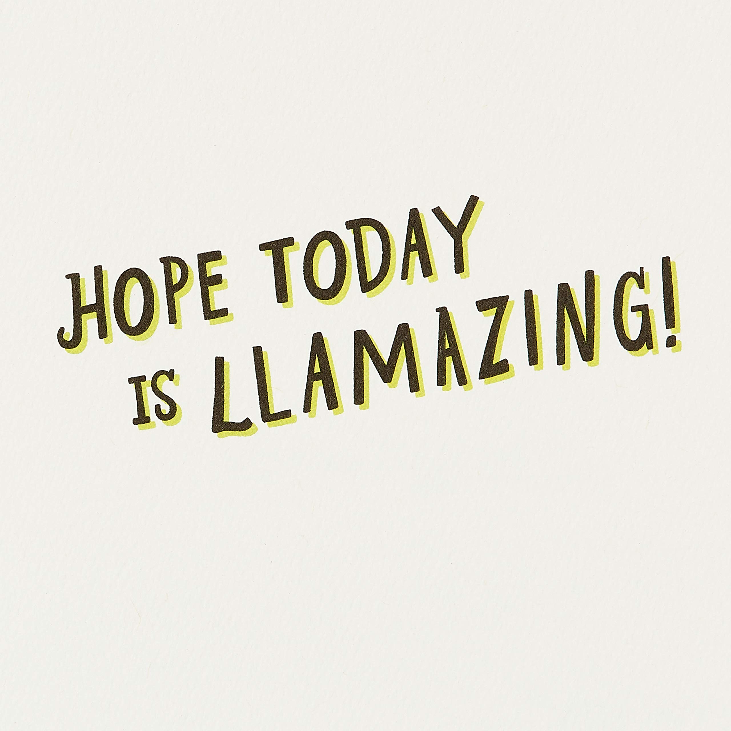 American Greetings Funny Llamas Greeting Card (Birthday, Thinking Of You, Congratulations) - Image 3