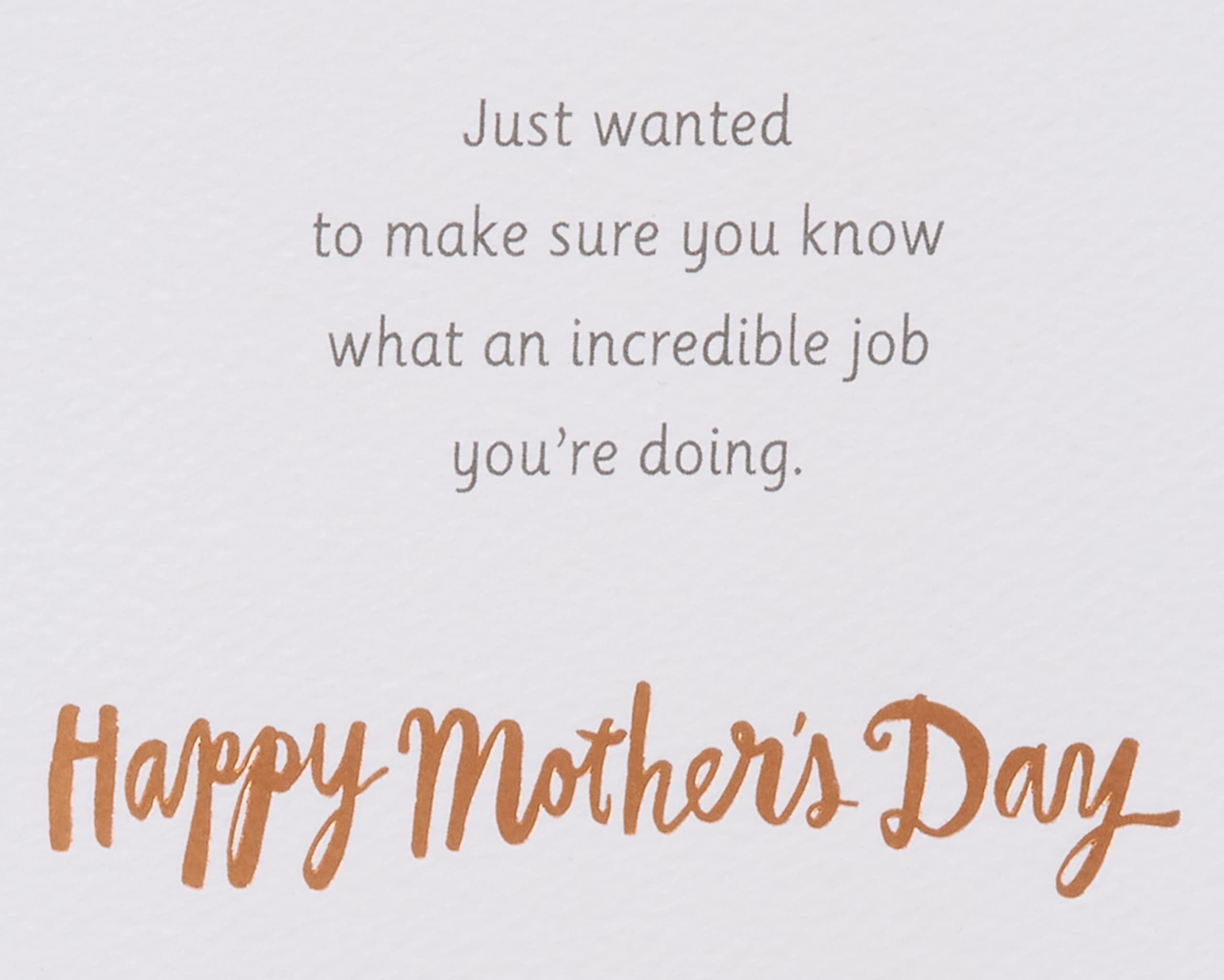 American Greetings Mothers Day Card for Sister (Incredible Job) - Image 3
