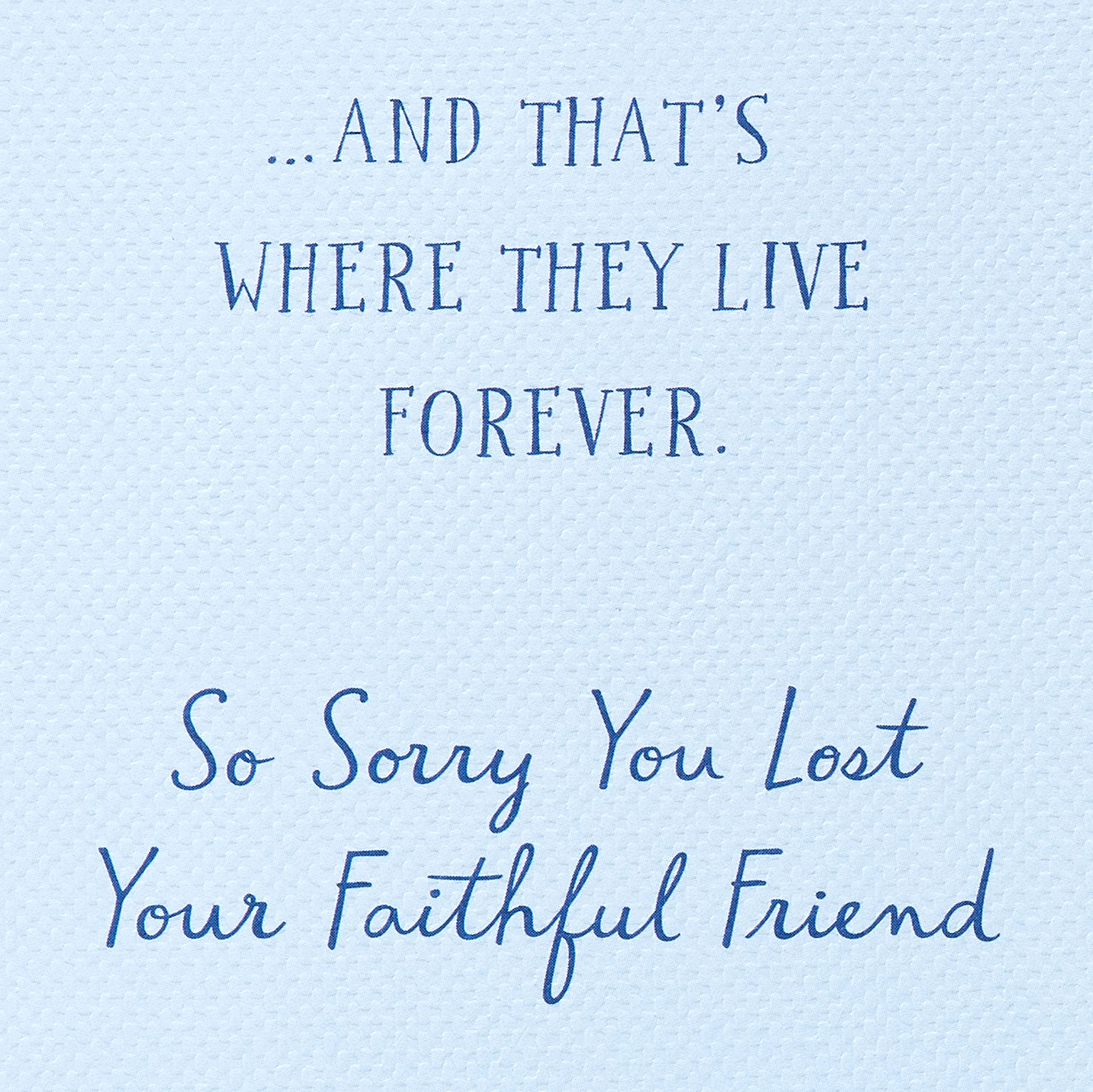 American Greetings Pet Sympathy Card (Dogs Live Forever In Your Heart) - Image 3
