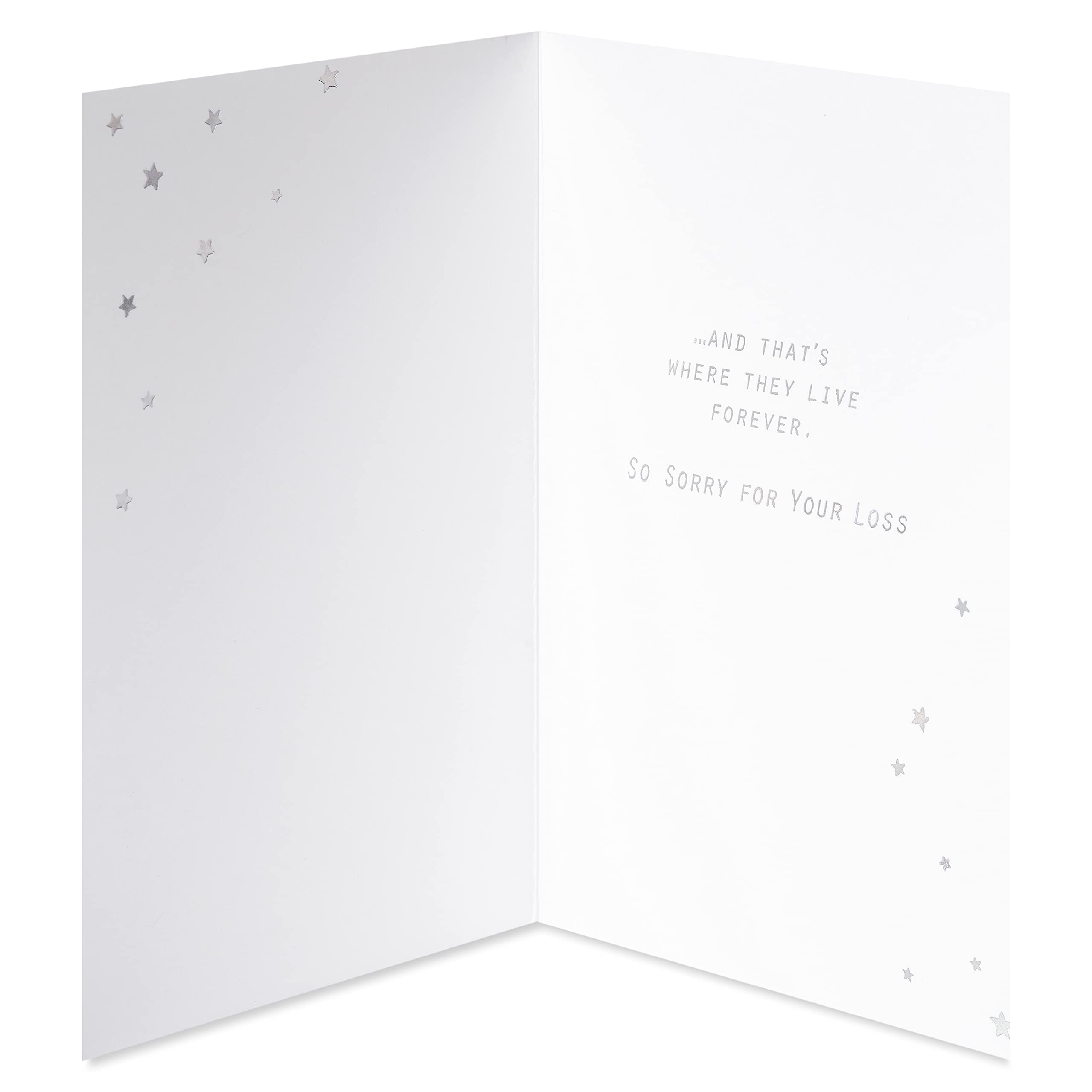 American Greetings Pet Sympathy Card for Cat (They Live Forever) - Image 2