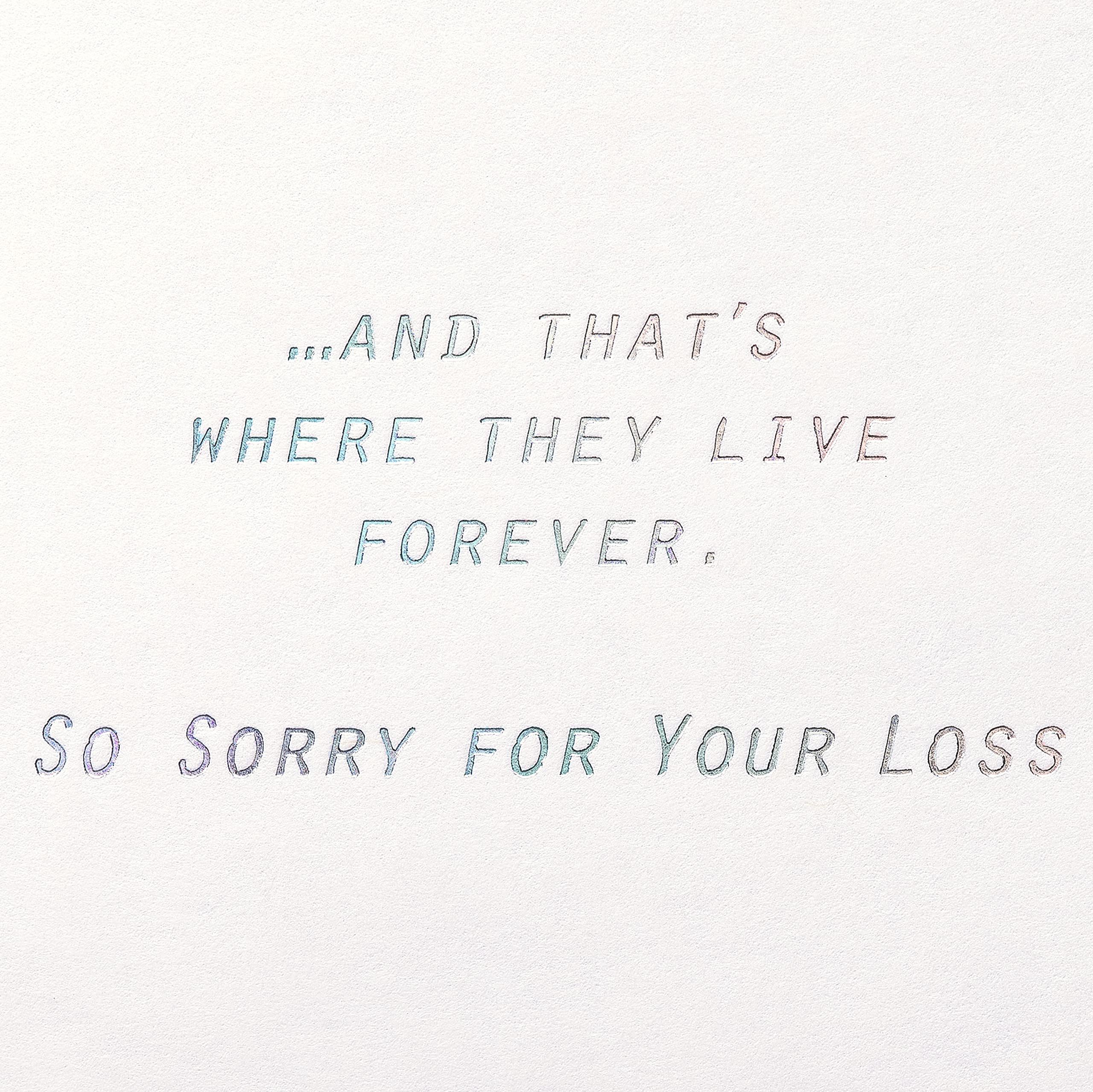 American Greetings Pet Sympathy Card for Cat (They Live Forever) - Image 3