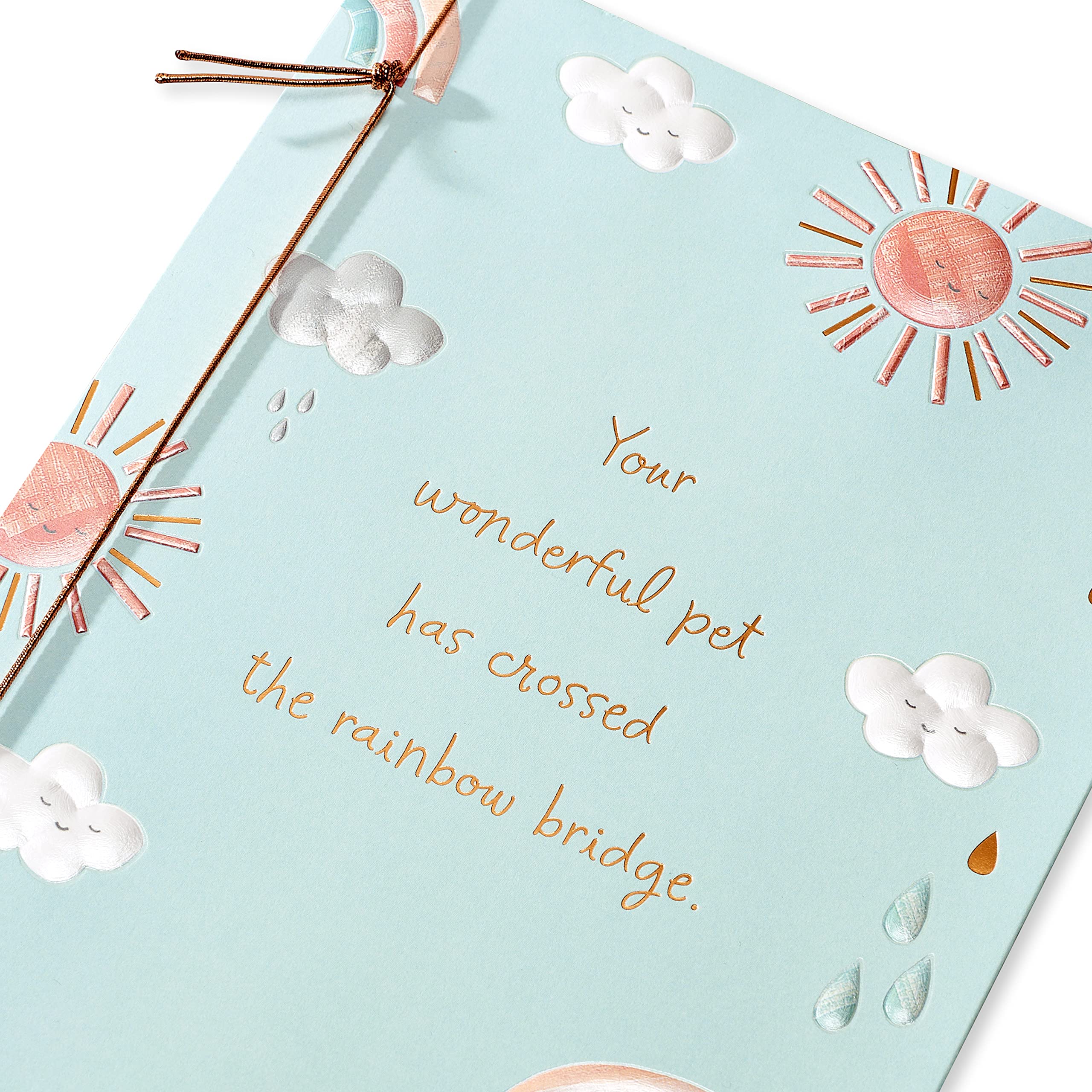American Greetings Pet Sympathy Card (Love-Filled Life) - Image 5