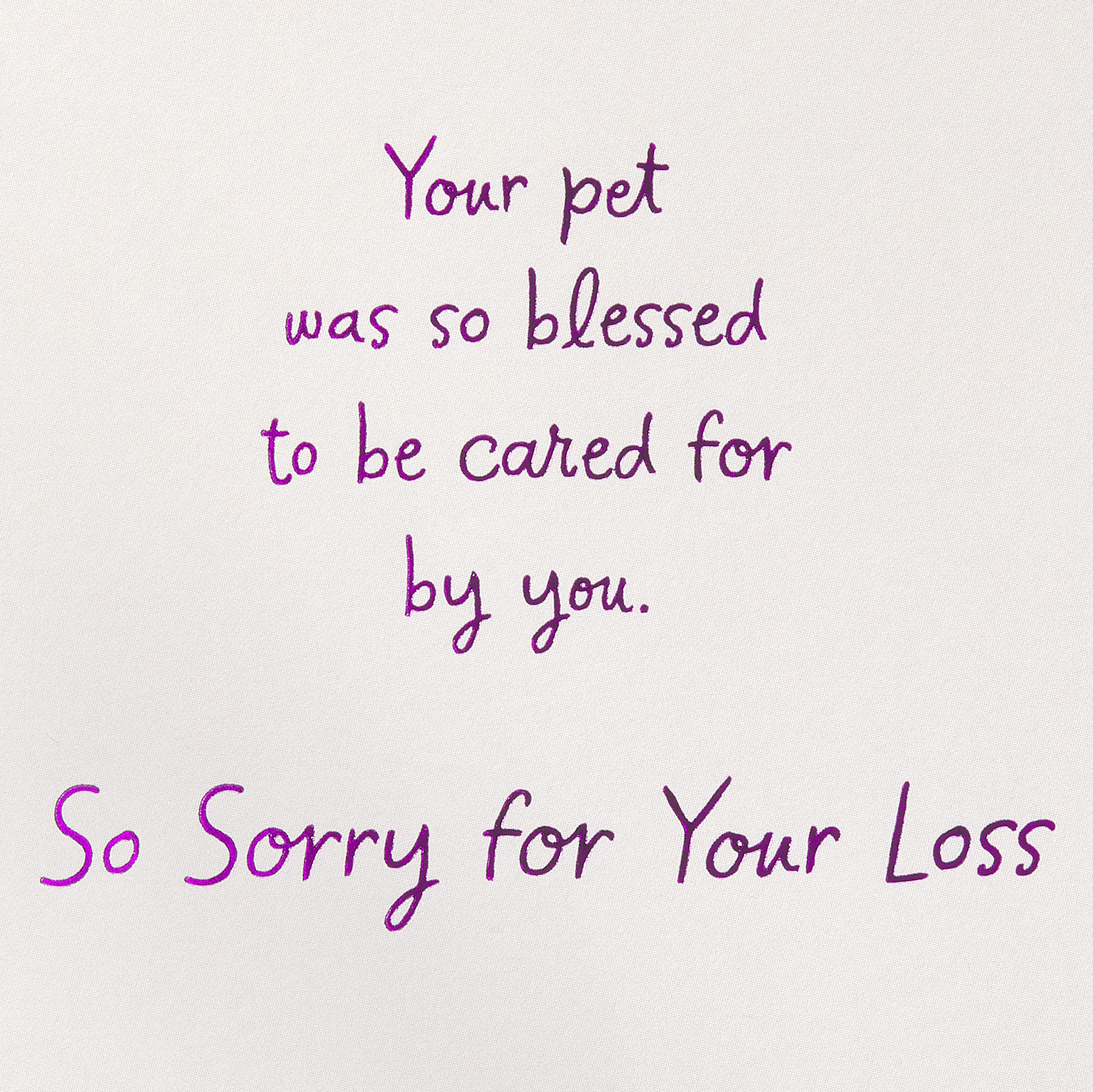 American Greetings Pet Sympathy Card (So Blessed) - Image 3