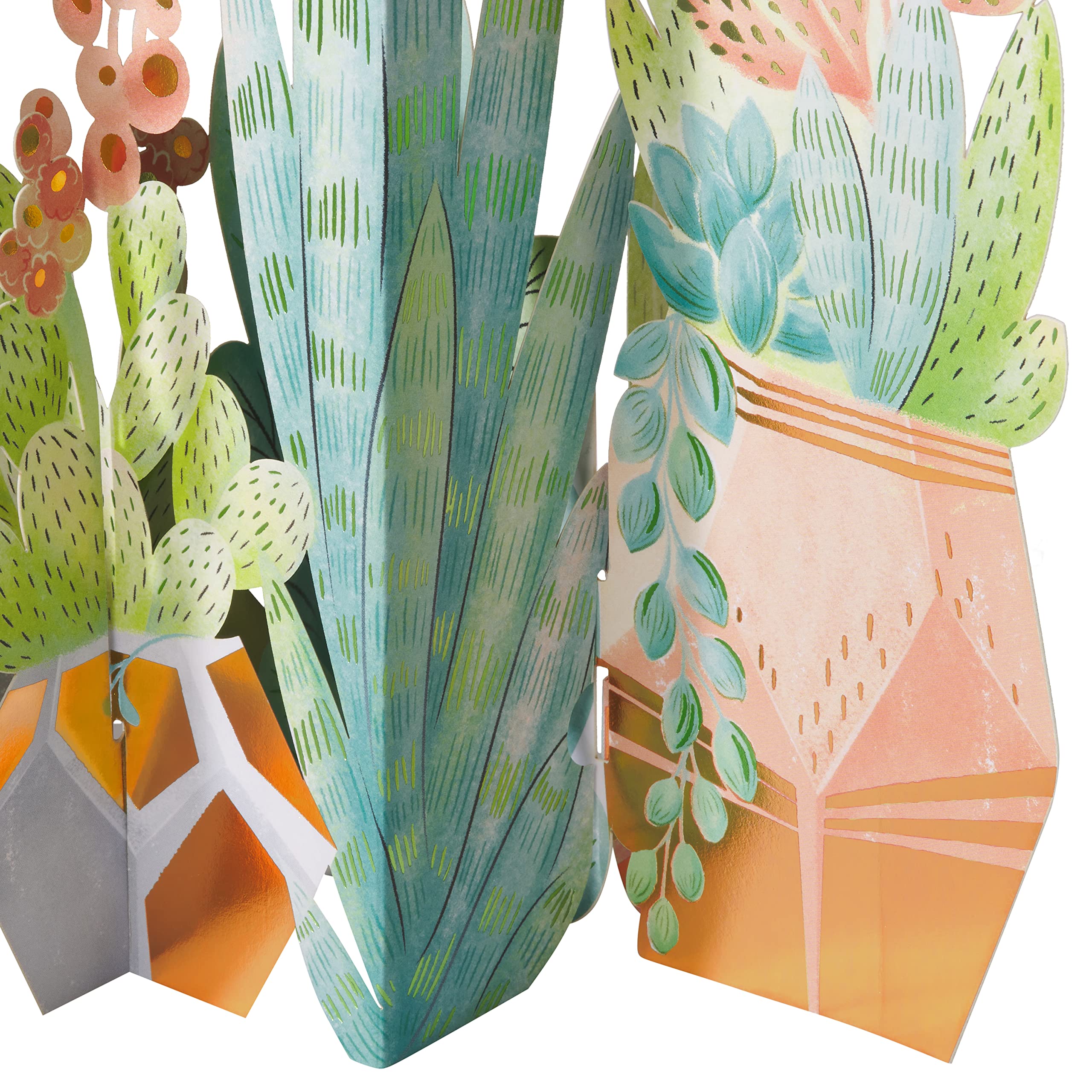 American Greetings Pop Up Birthday Card (How Amazing You Are) - Image 6