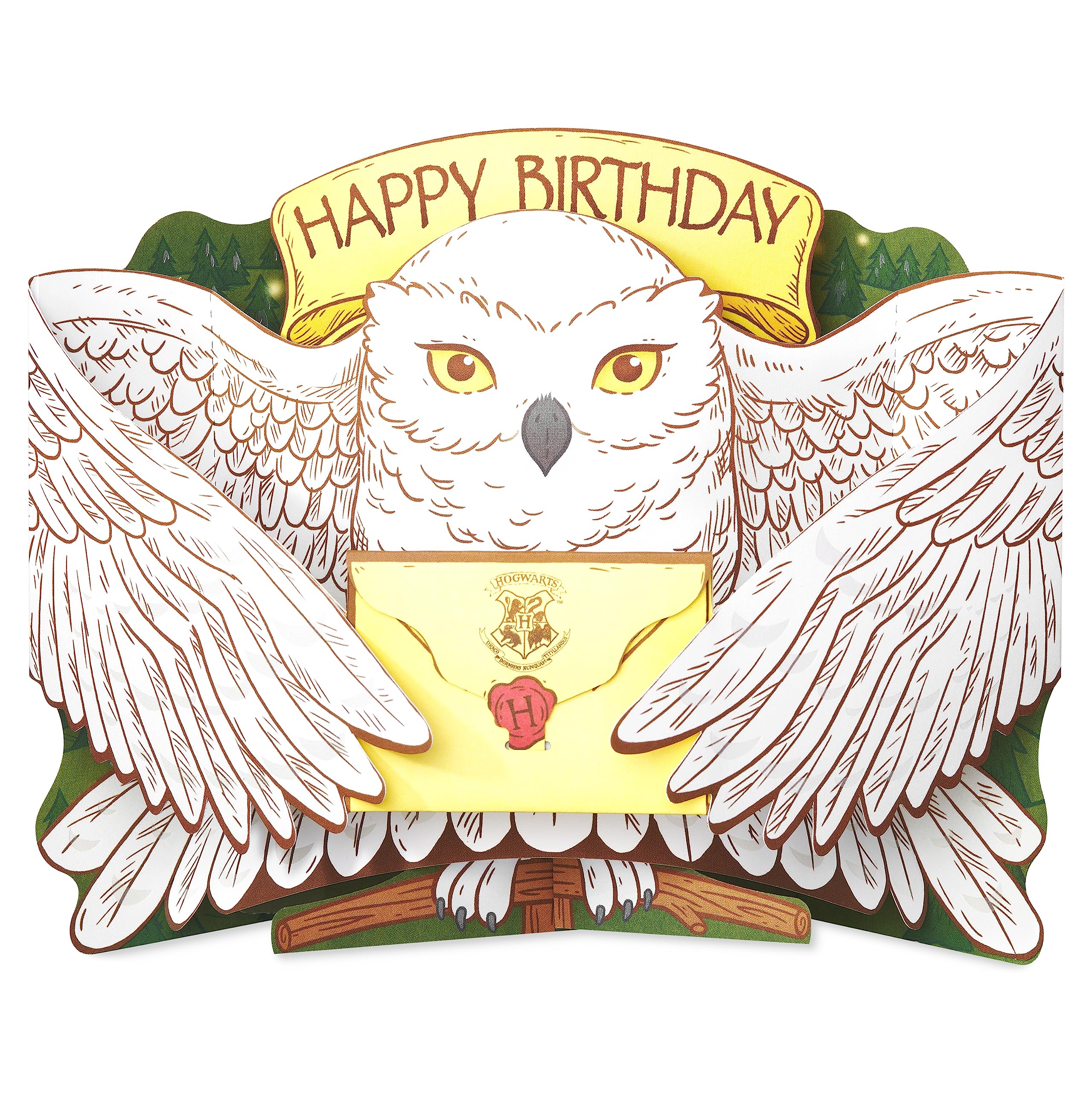 American Greetings Pop Up Harry Potter Hedwig Birthday Card, Fun Secret Birthday Note Included (Filled with Magic!)