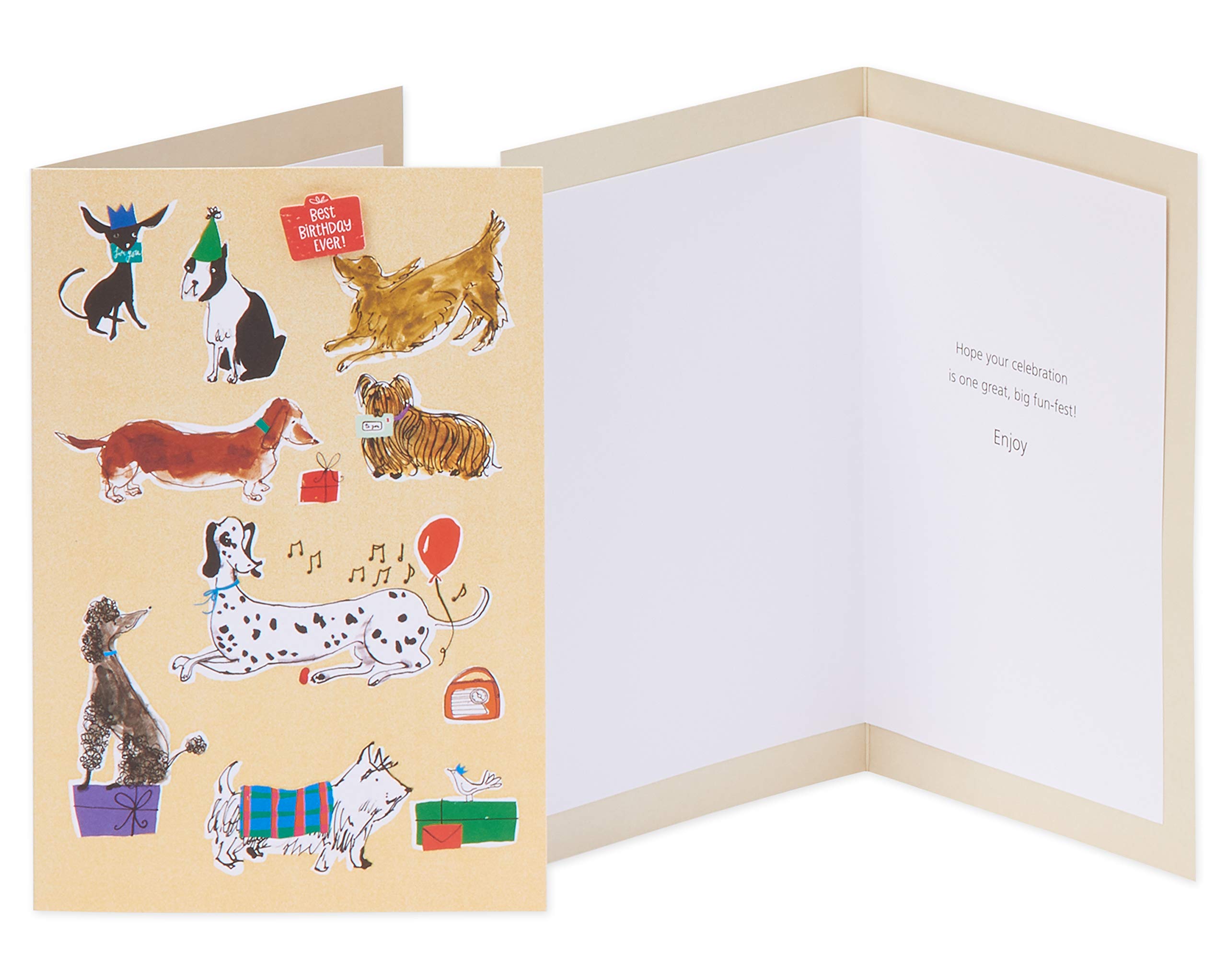 American Greetings Premium Birthday Cards, Classic Designs (8-Count) - Image 5