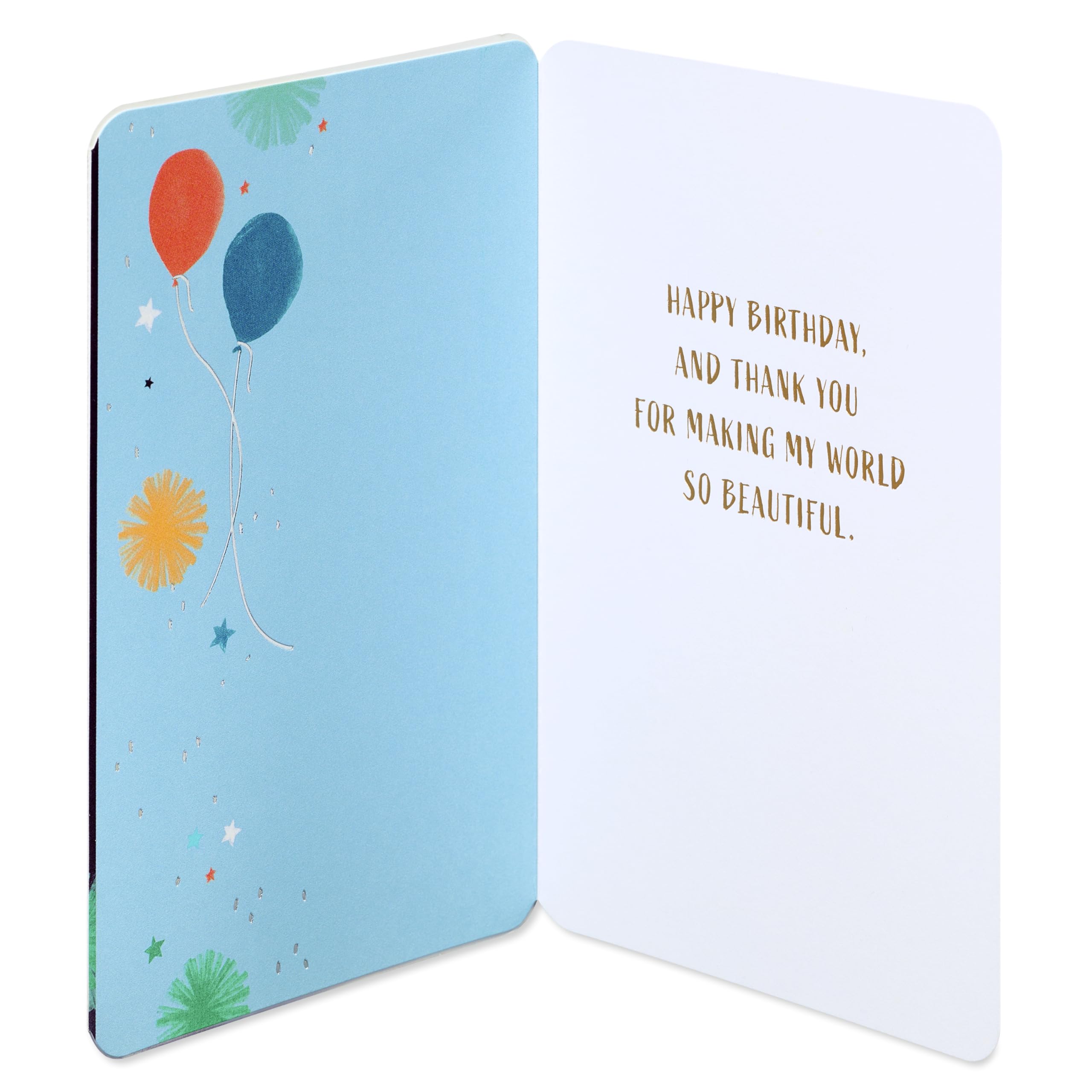 American Greetings Romantic Birthday Card for Him (So Beautiful) - Image 2