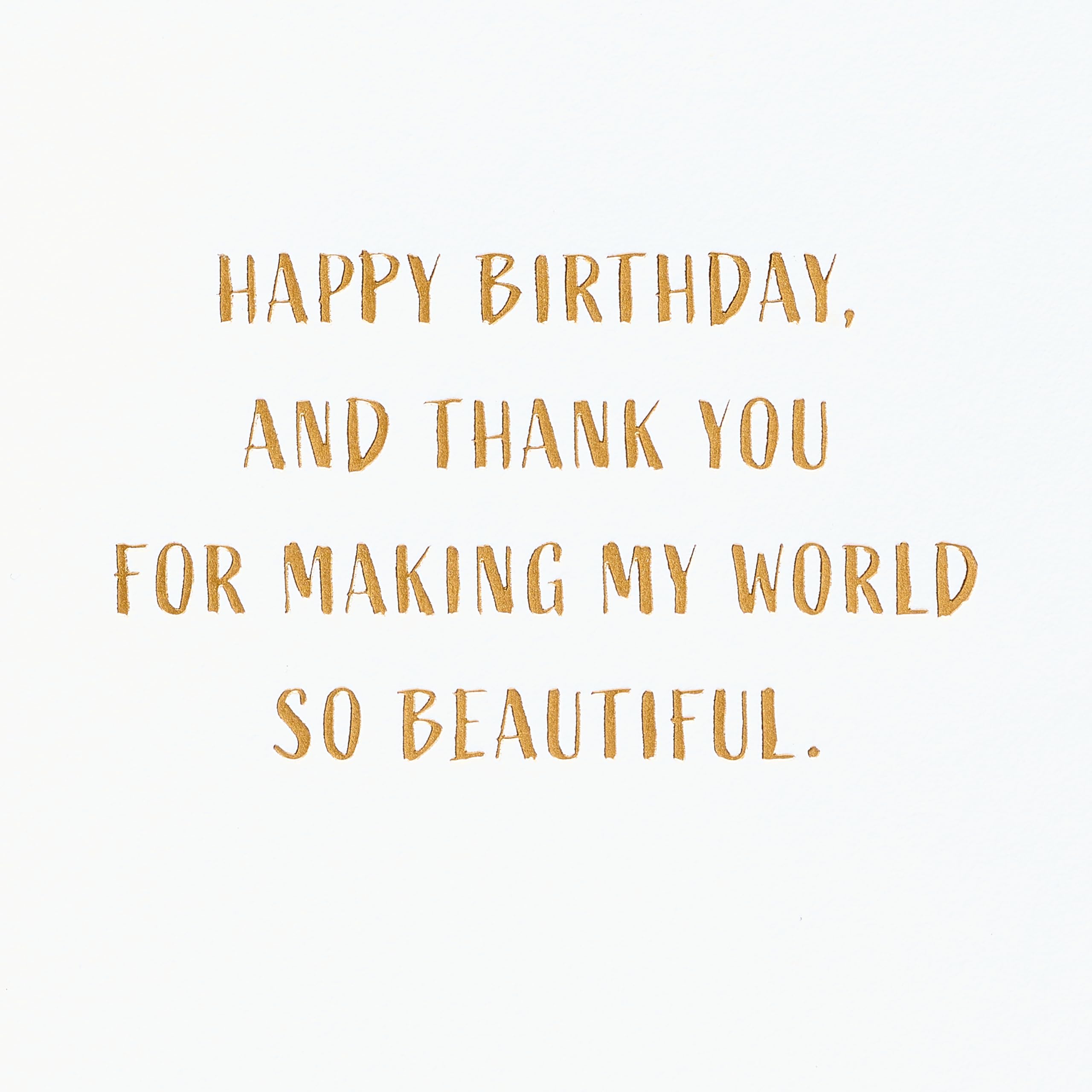 American Greetings Romantic Birthday Card for Him (So Beautiful) - Image 3