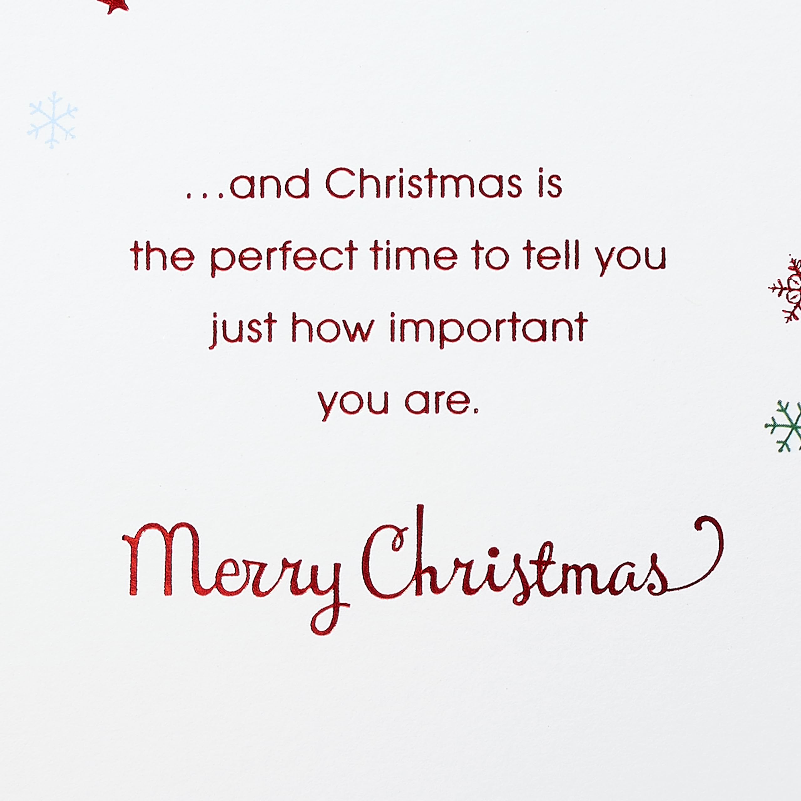 American Greetings Sentimental Christmas Card for Daughter and Family, Beautiful Holiday Greeting with Artistic Die-Cut Winter Florals and Glimmering Christmas Tree (You're Appreciated) - Image 5