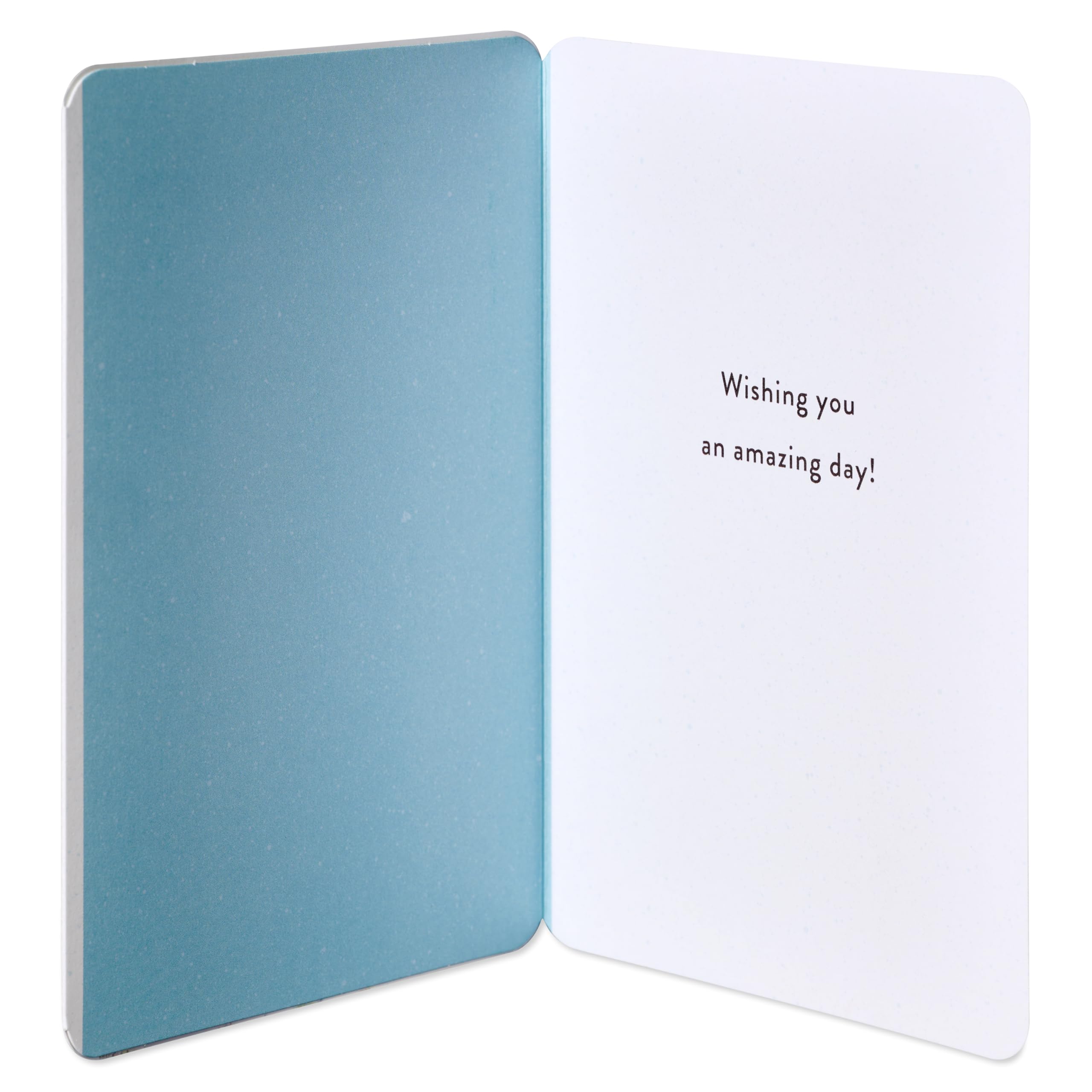 American Greetings Sign Language Birthday Card (Amazing Day) - Image 2