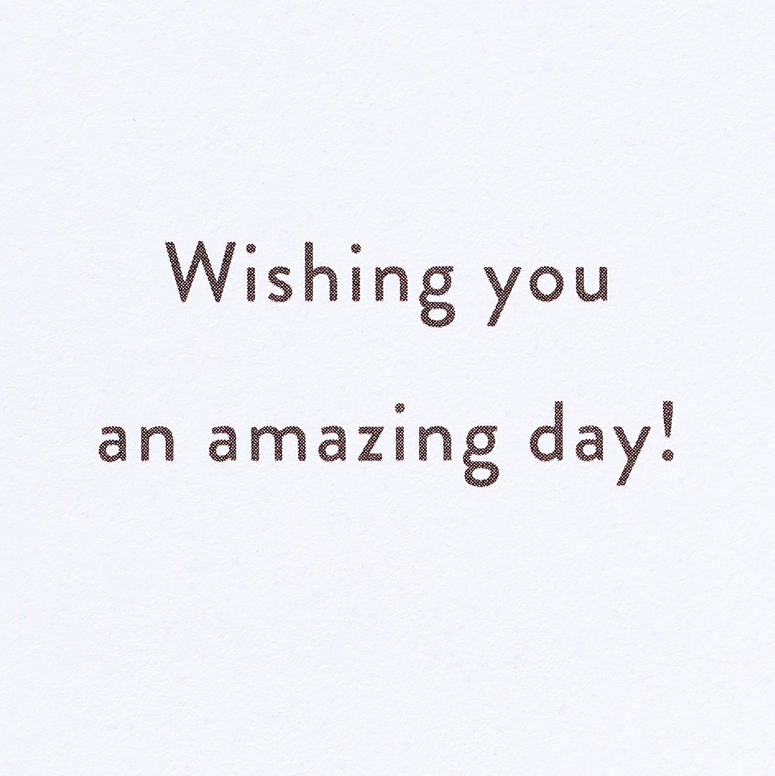 American Greetings Sign Language Birthday Card (Amazing Day) - Image 3