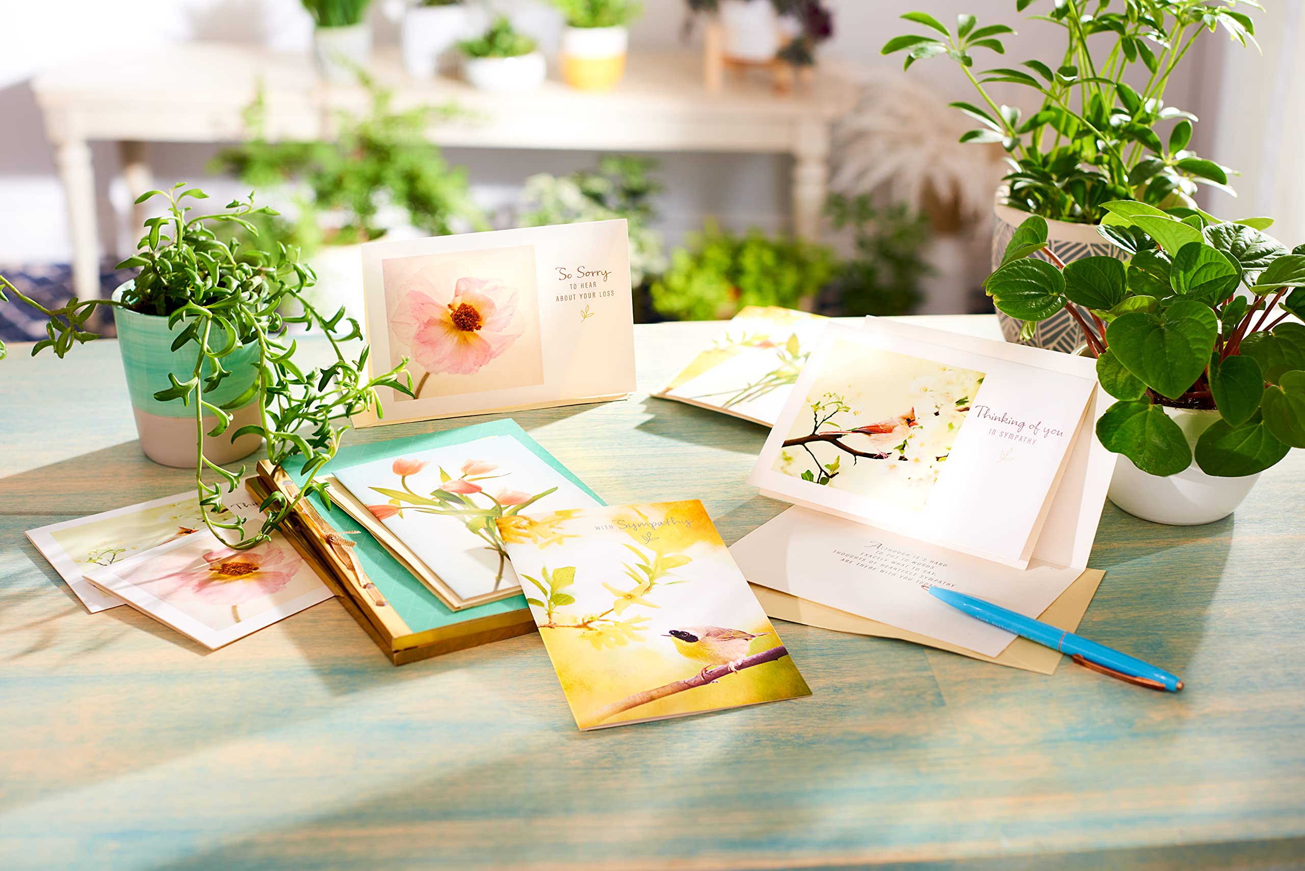 American Greetings Sympathy Cards Assortment with Envelopes, Floral (12-Count) - Image 8