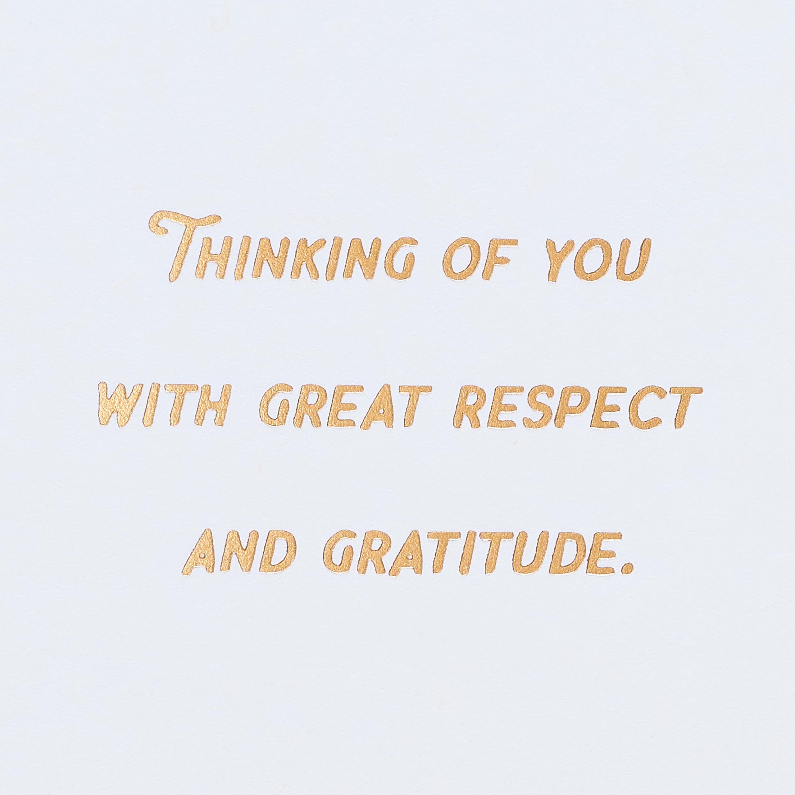 American Greetings Thank You Card for Military (Respect and Gratitude) - Image 3