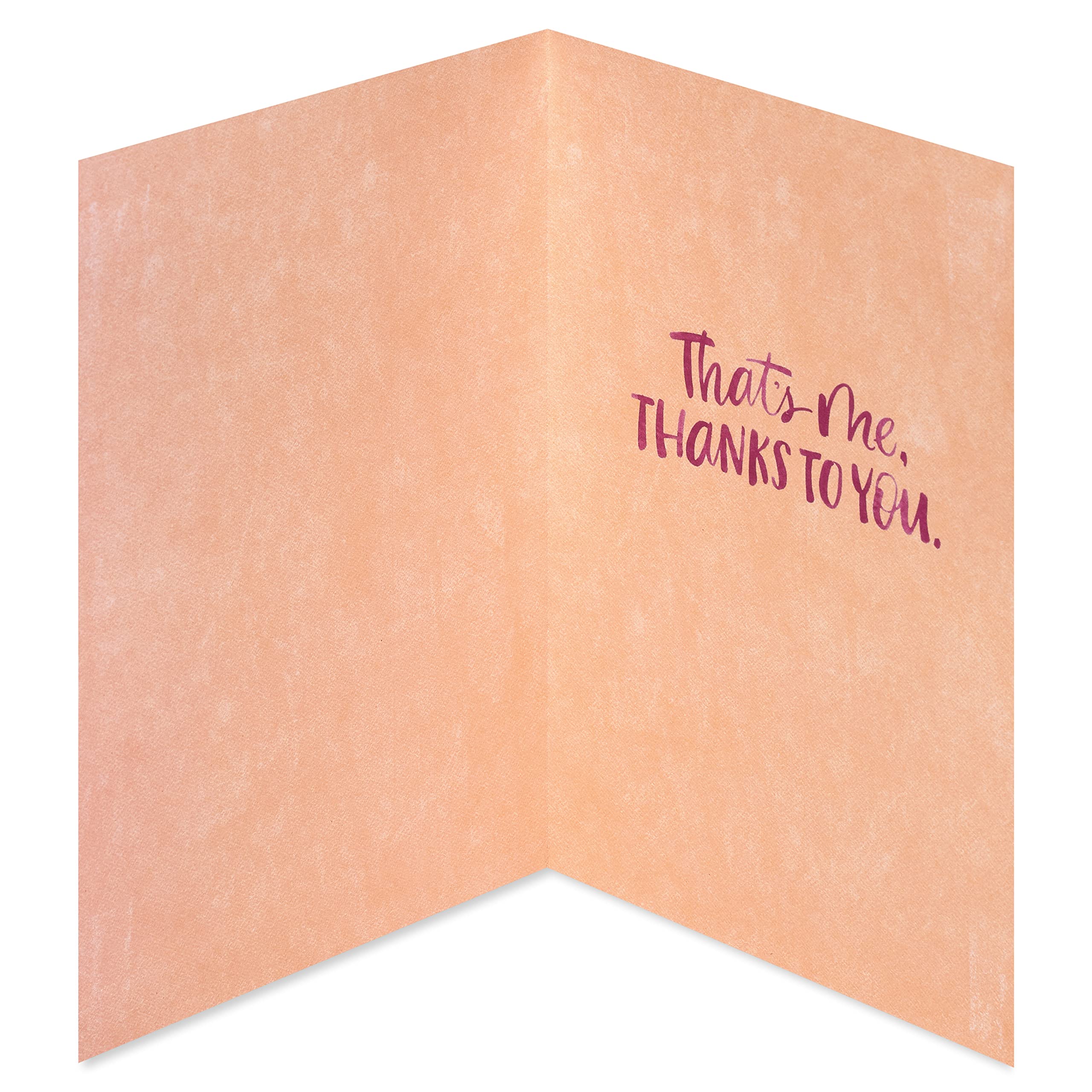 American Greetings Thanksgiving Cards, Thanks To You (6-Count) - Image 3