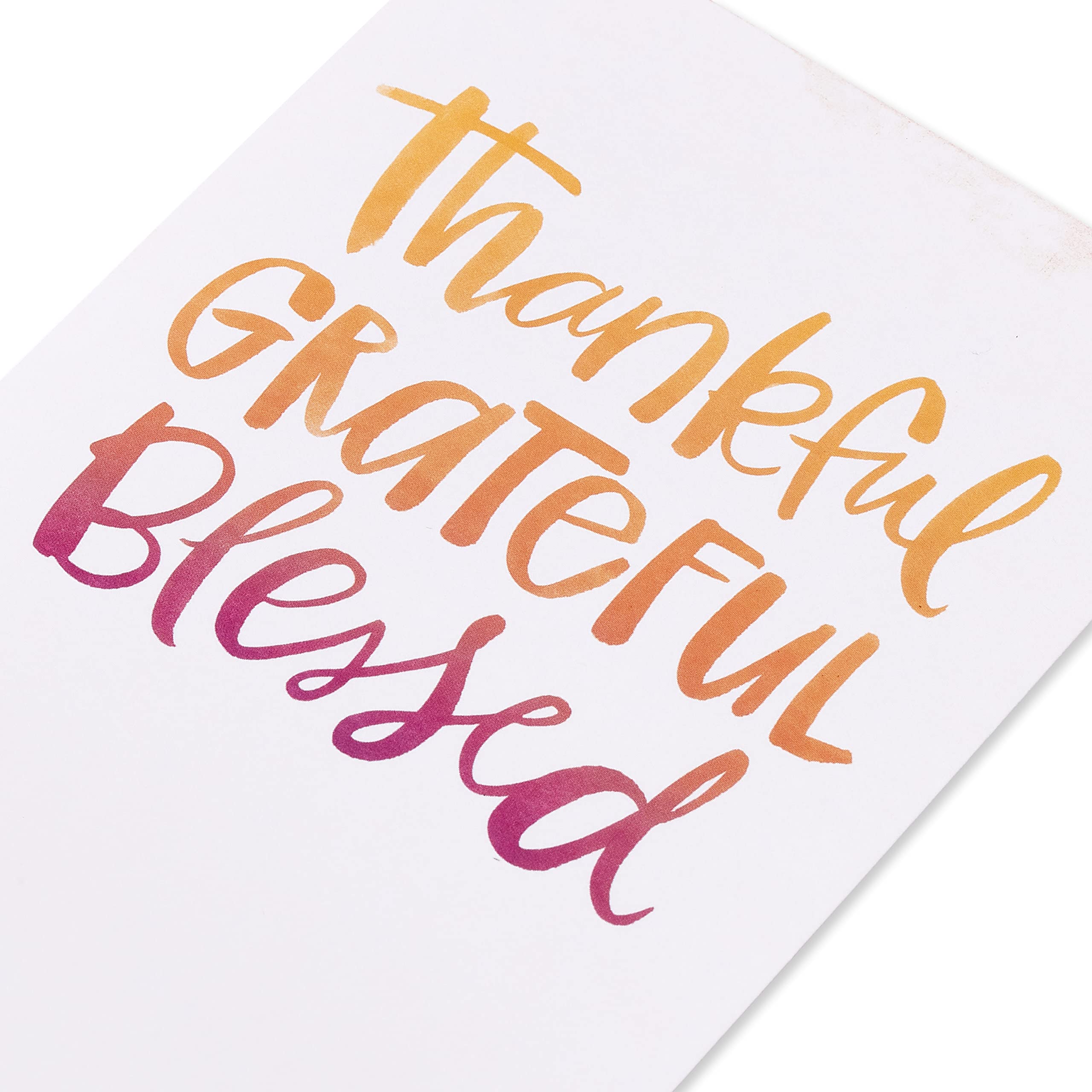 American Greetings Thanksgiving Cards, Thanks To You (6-Count) - Image 5