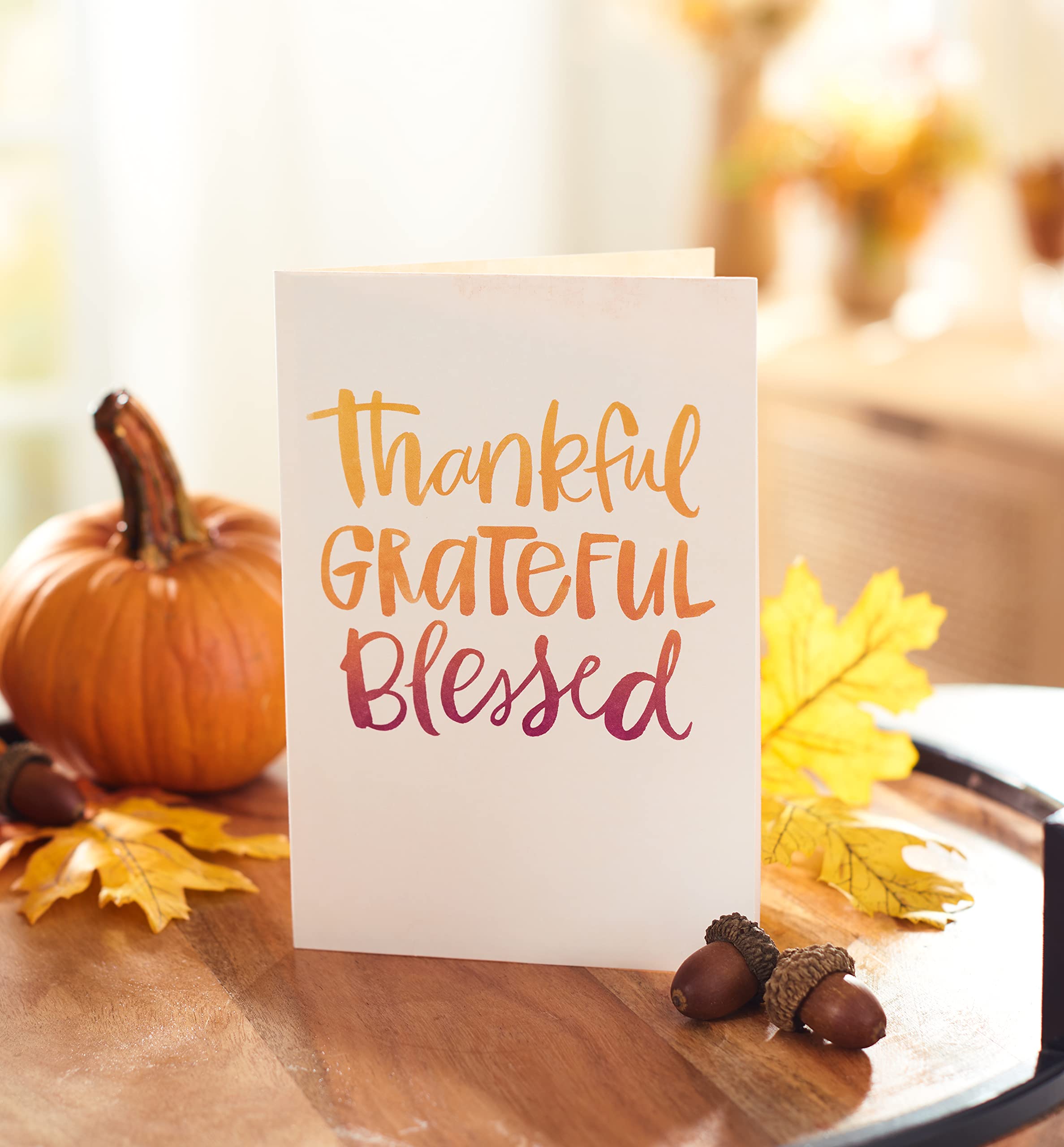 American Greetings Thanksgiving Cards, Thanks To You (6-Count) - Image 8